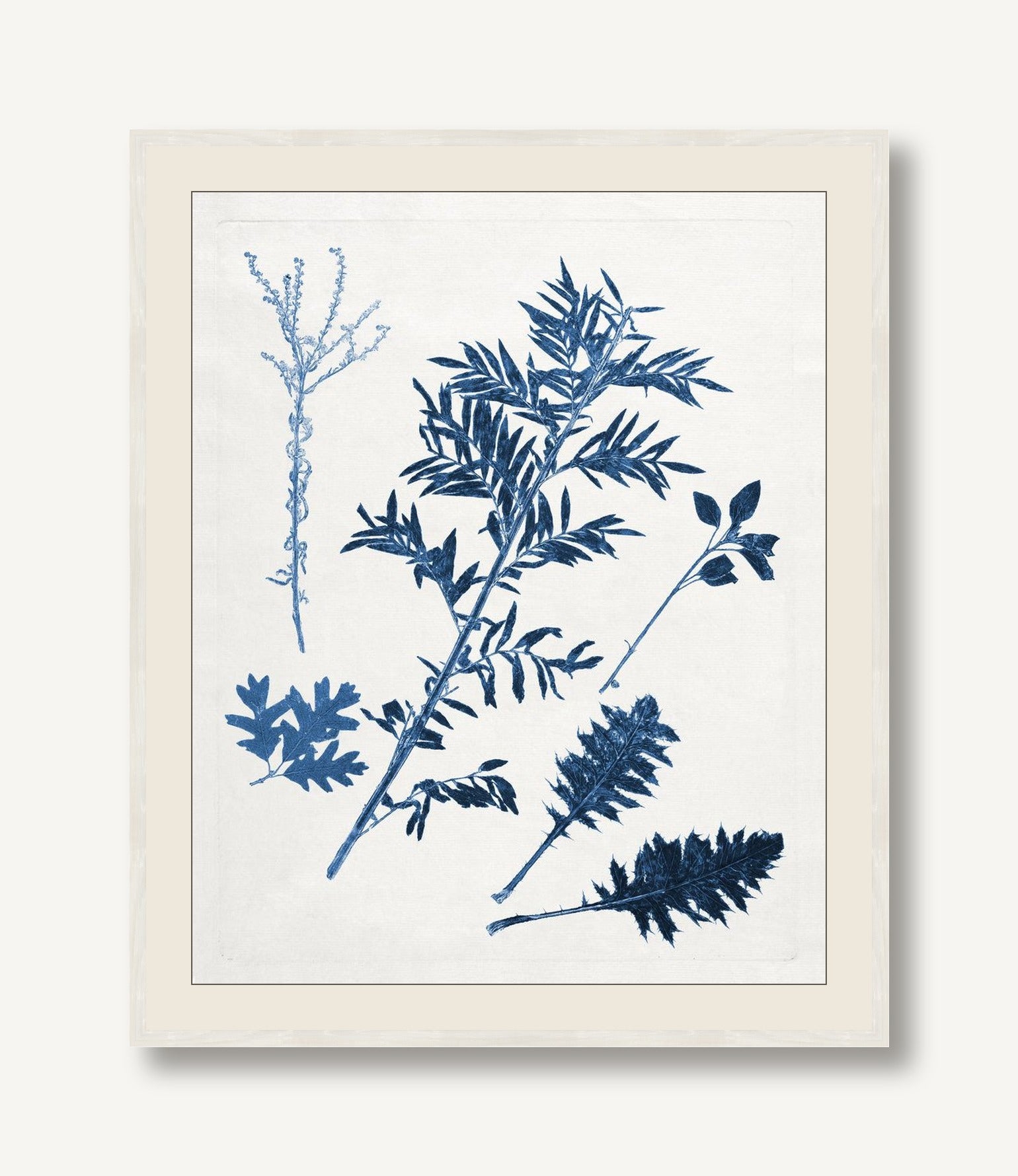 Blue Botanical Study 3 — framed