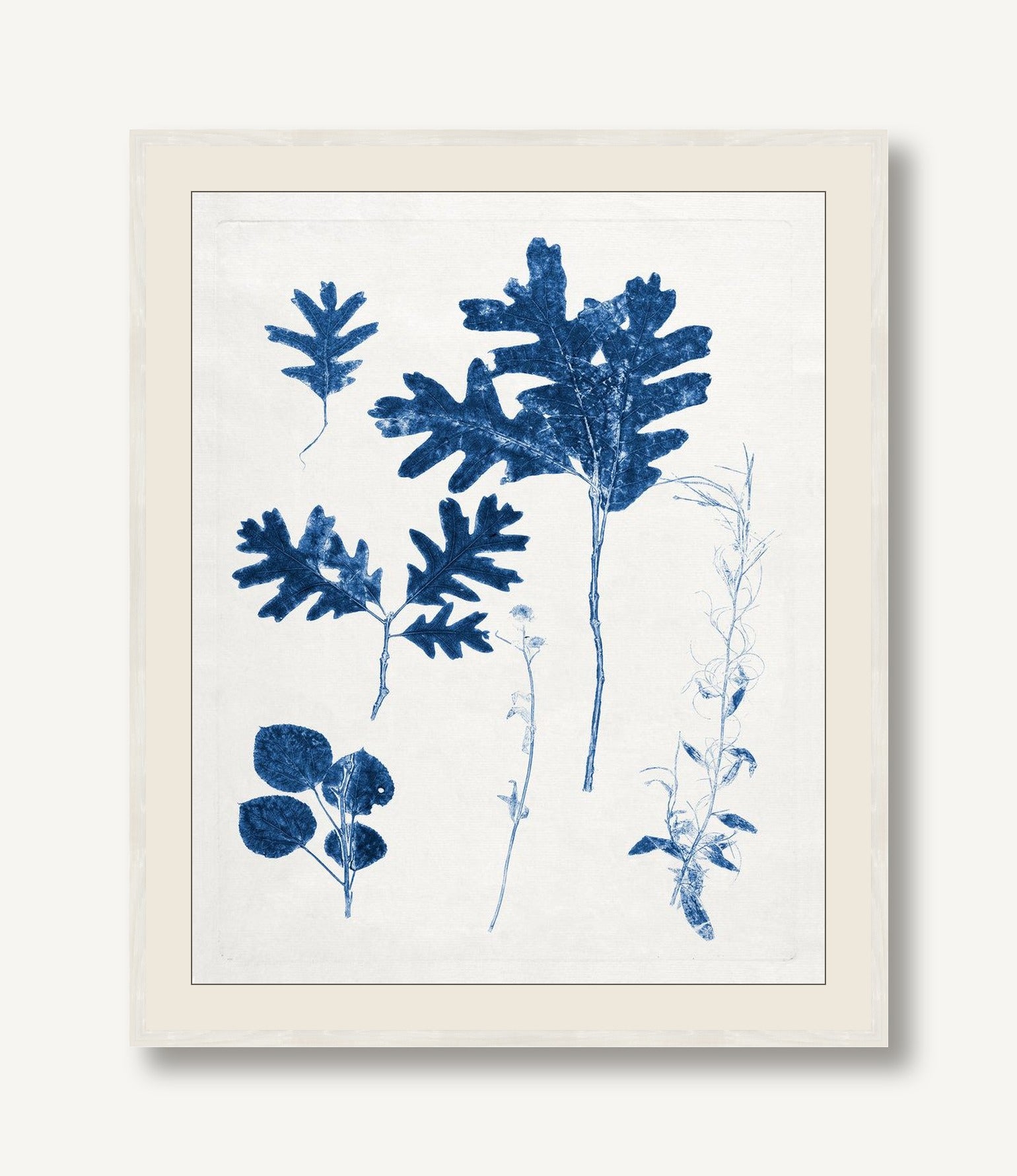 Blue Botanical Study 4 — framed