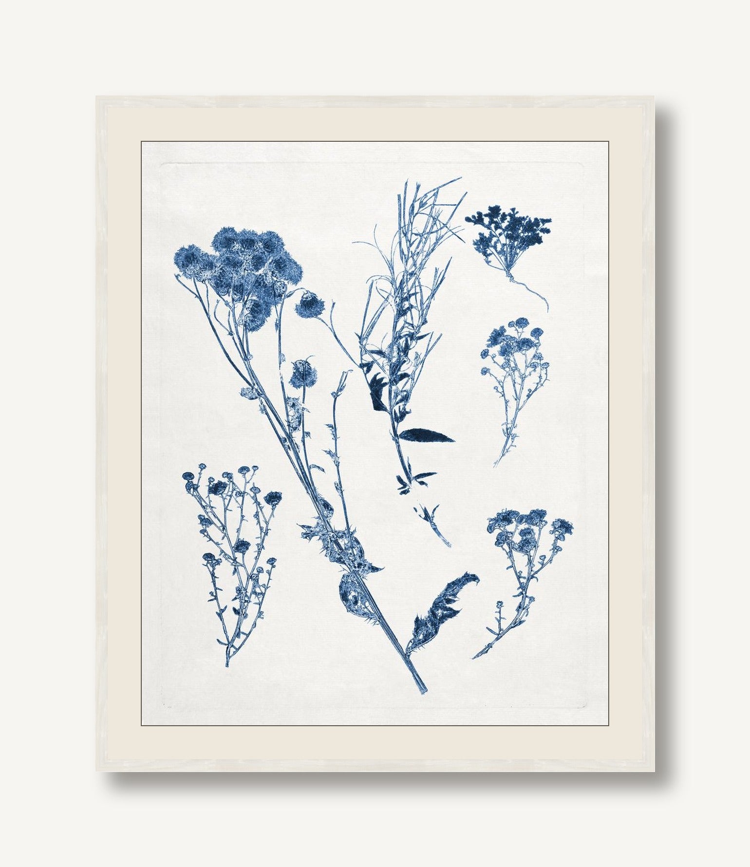 Blue Botanical Study 5 — framed