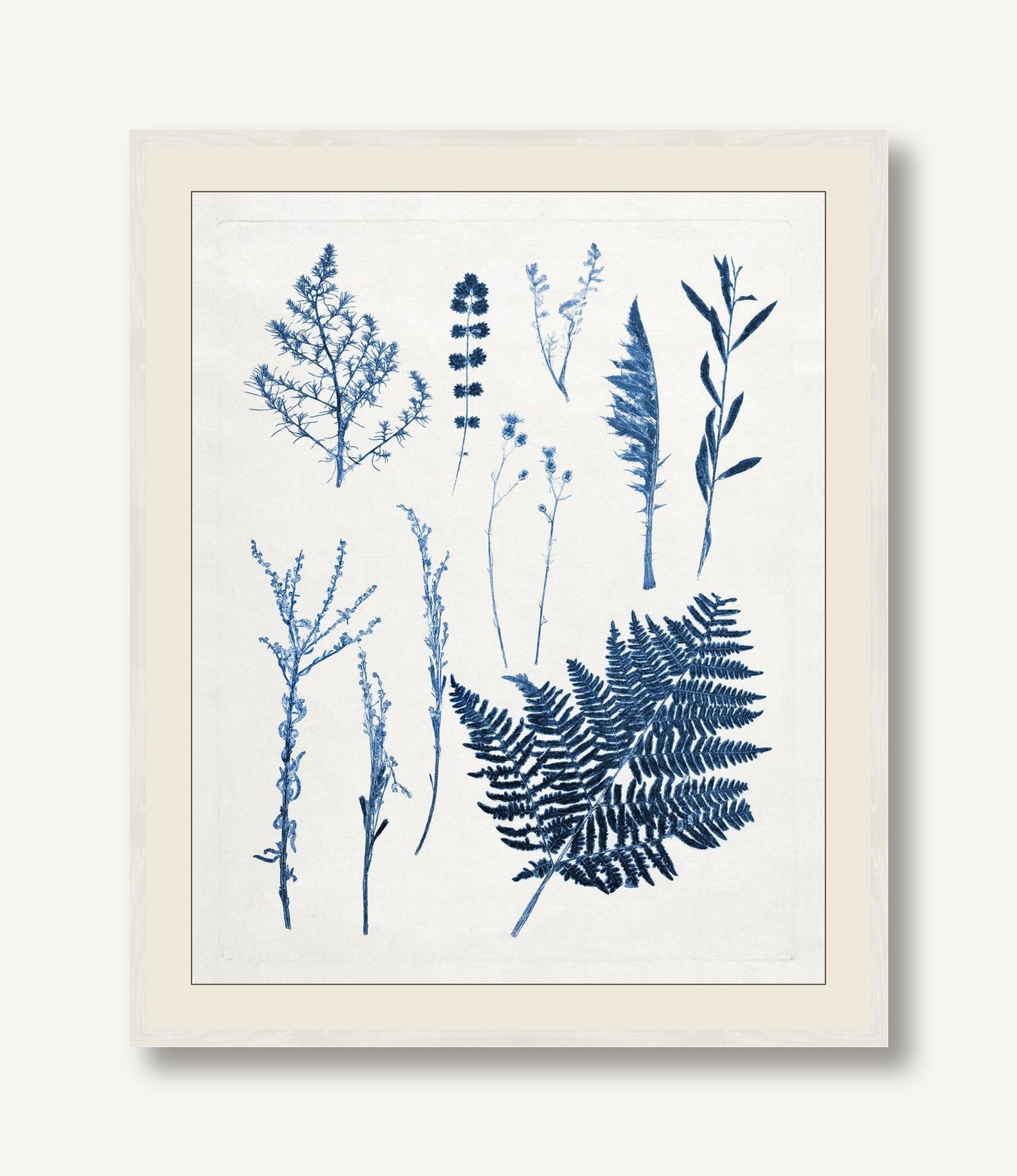 Blue Botanical Study 6 — framed