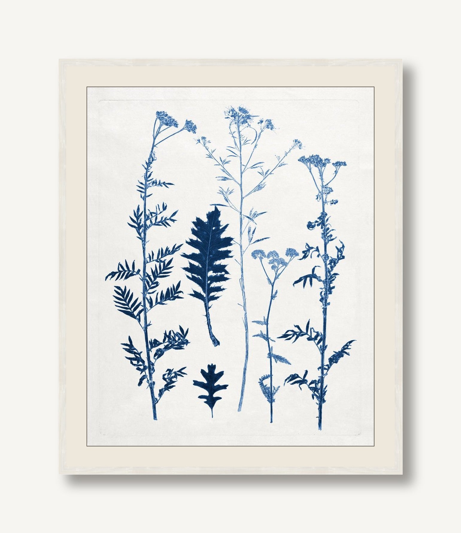Blue Botanical Study 7 — framed