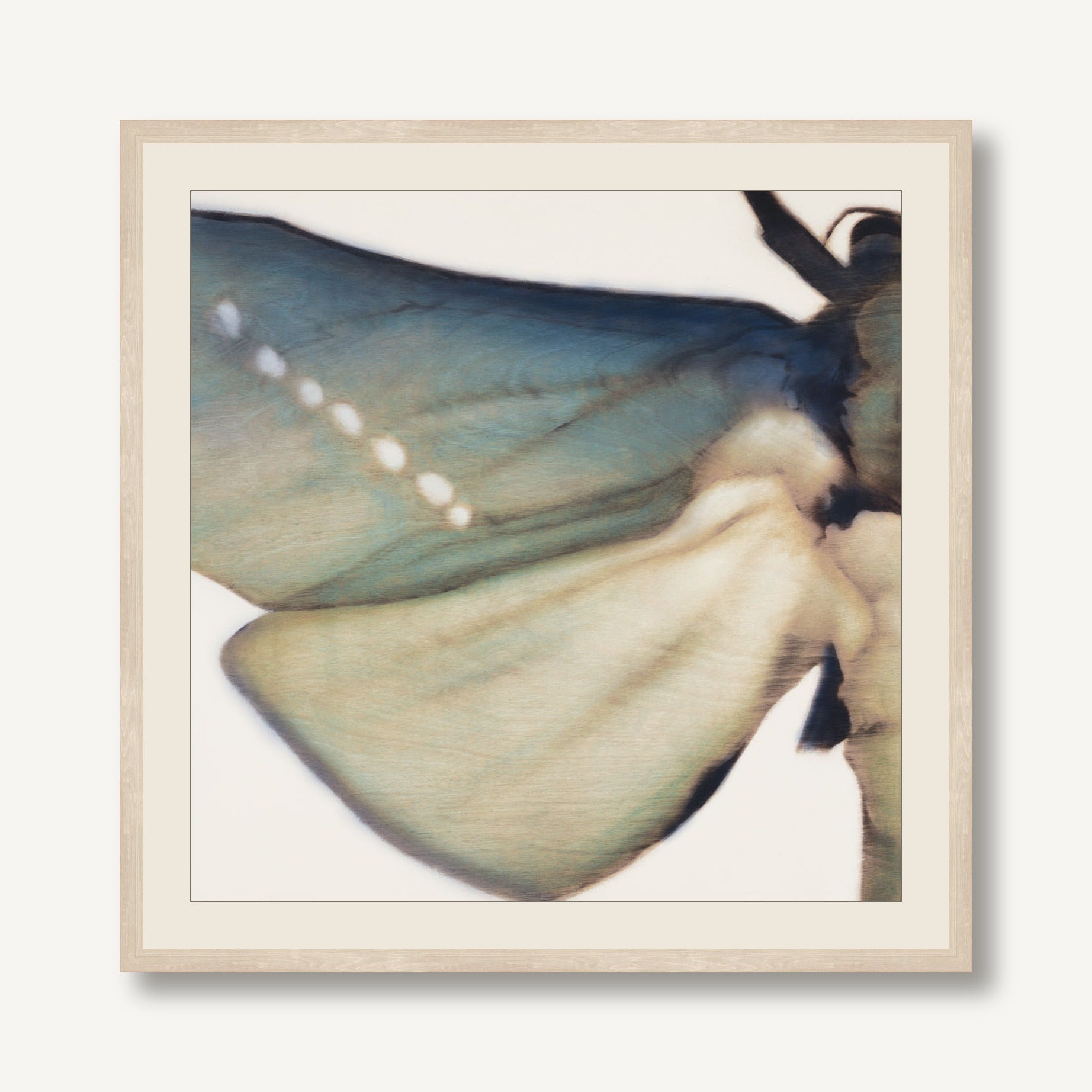 STNA-M010-01 framed