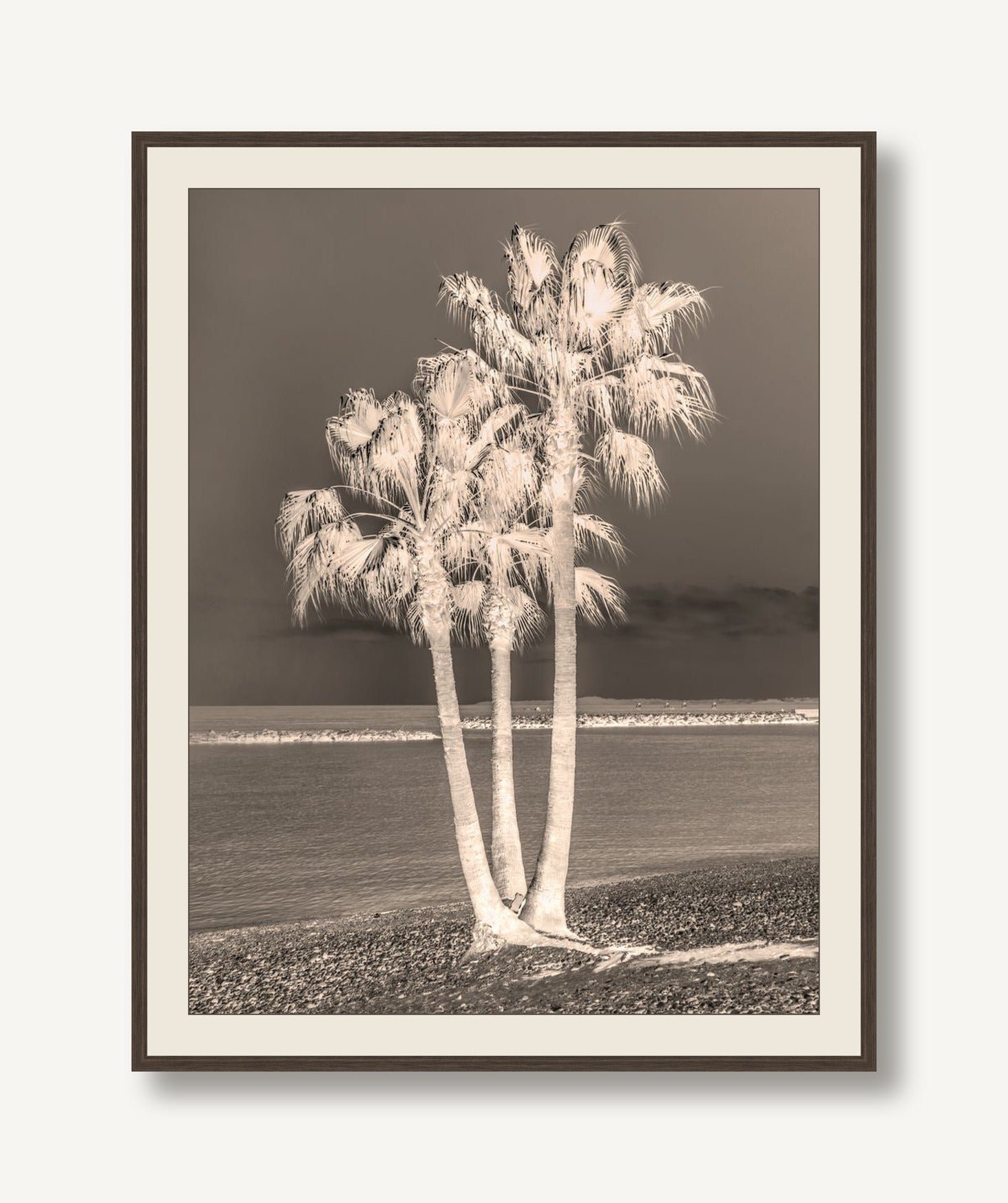 STNA-P007-01 framed