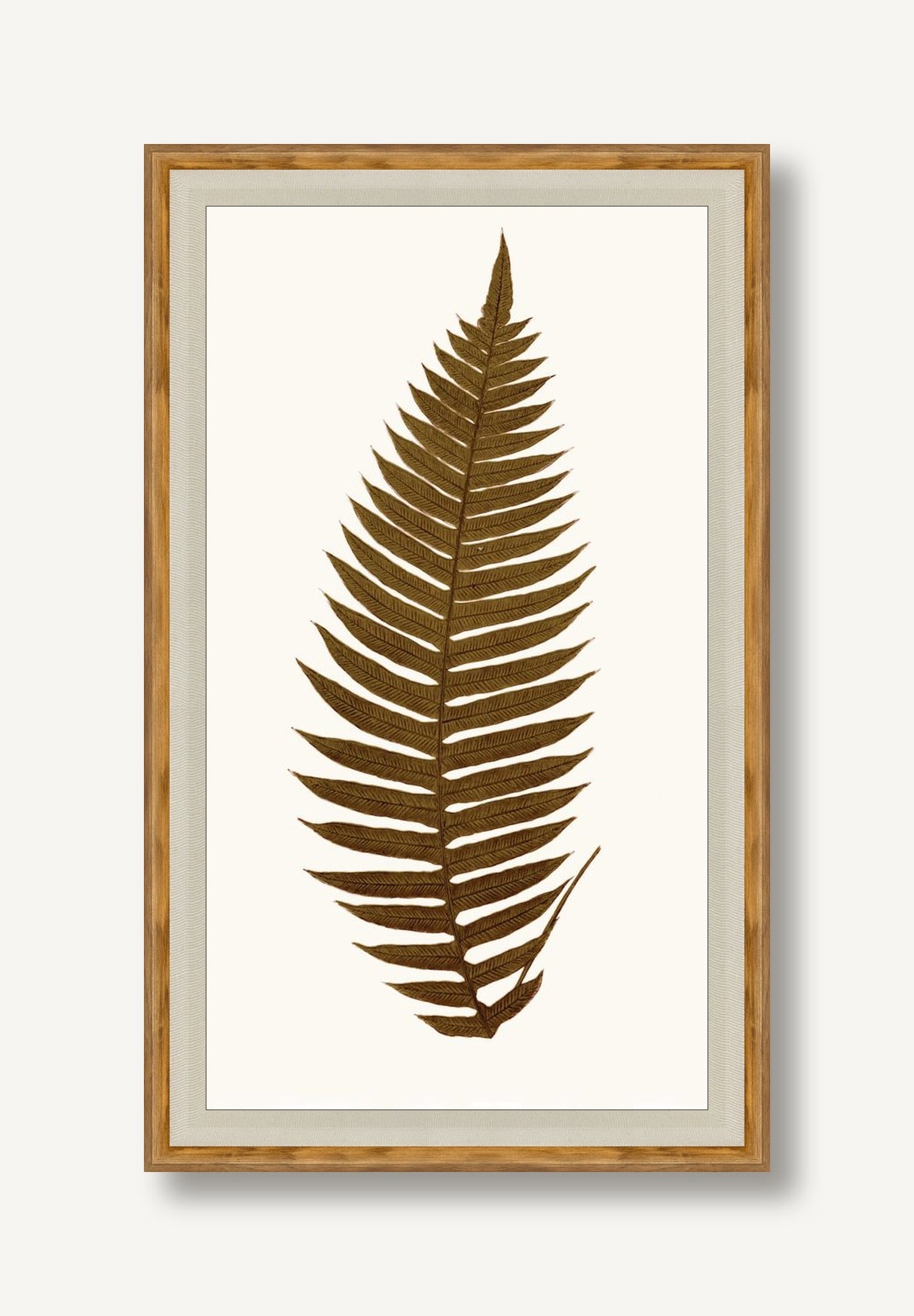 STNO-A001-02 framed