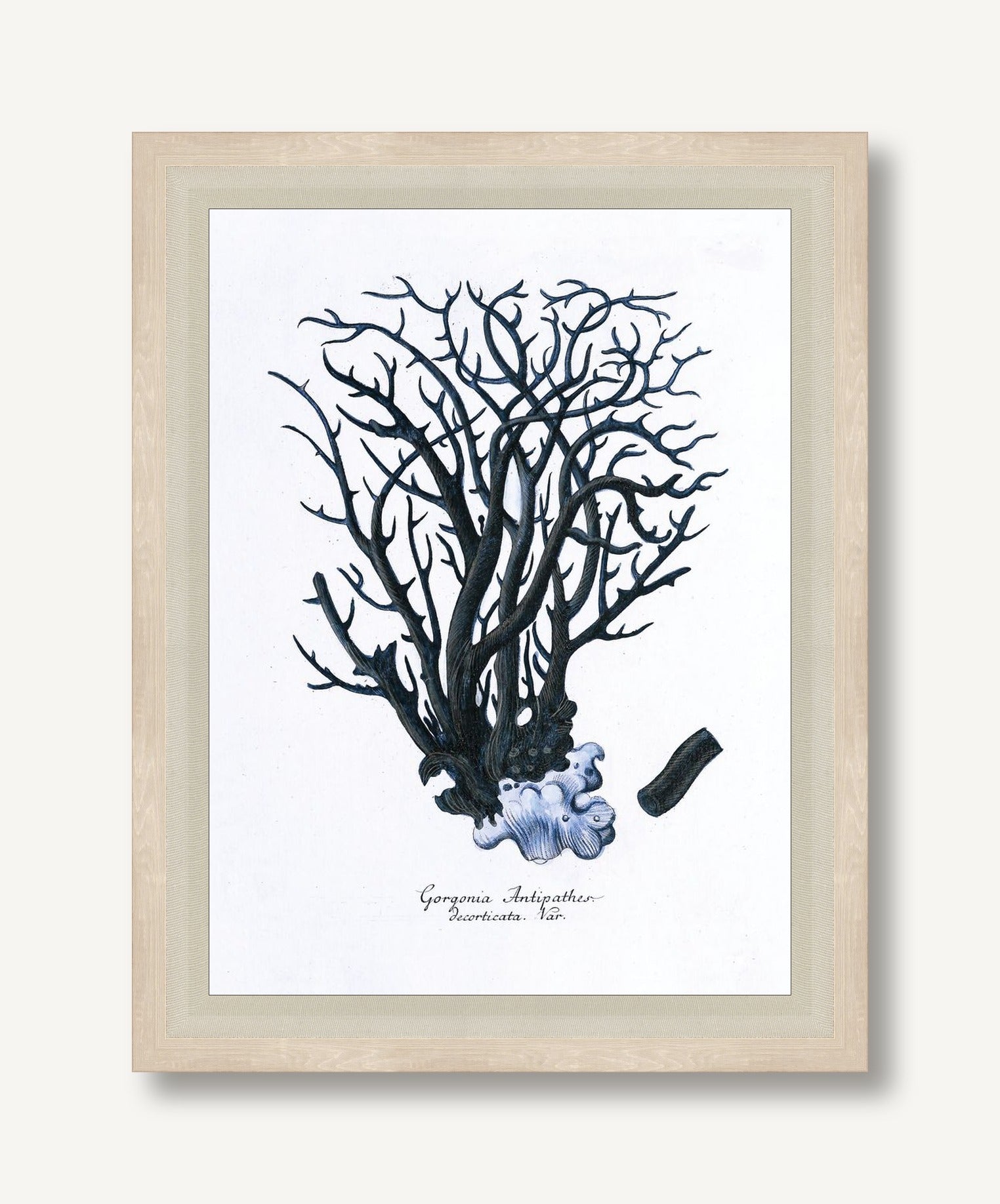 STNO-B002-02 framed