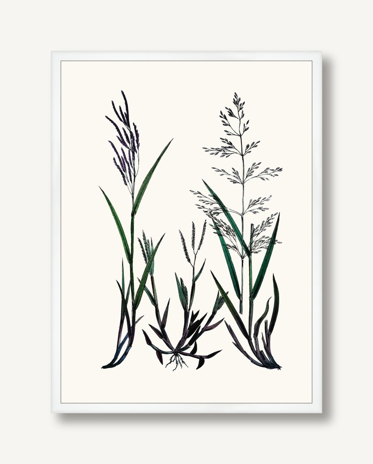 STNO-C002-02 framed
