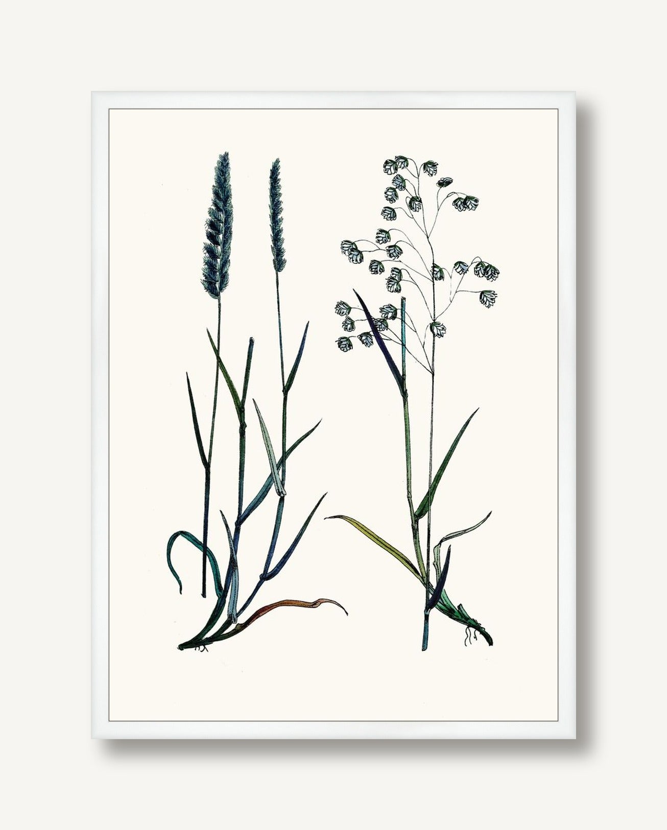 STNO-C002-03 framed