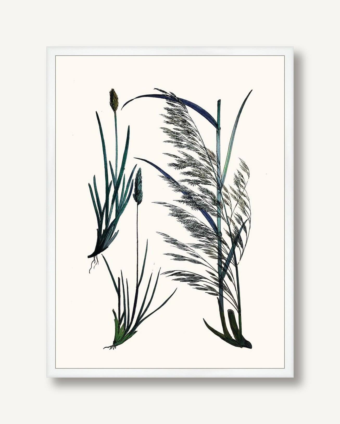 STNO-C002-04 framed