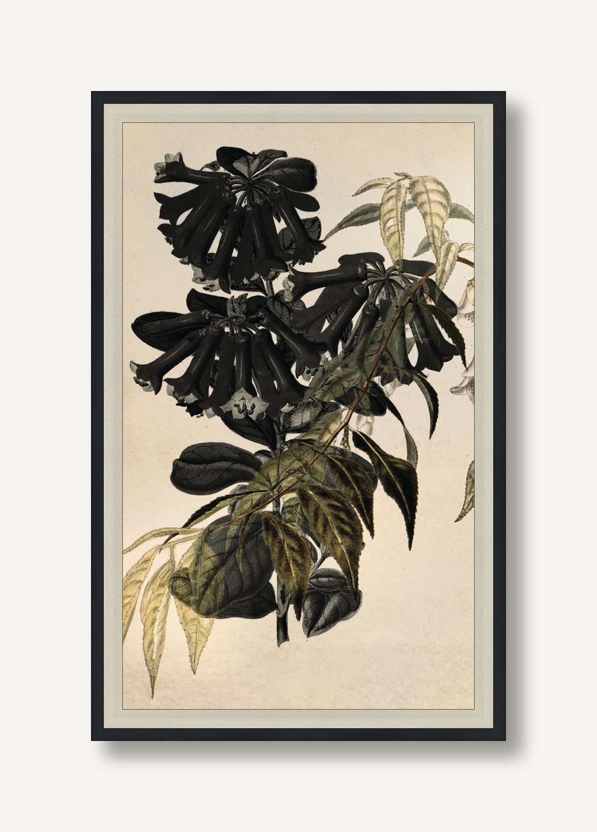 STNO-G001-01 framed