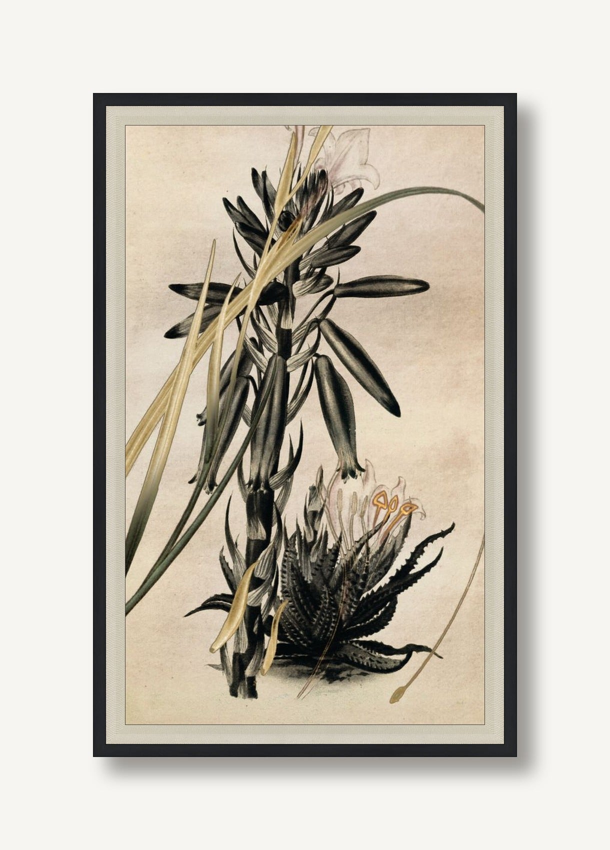 STNO-G001-02 framed