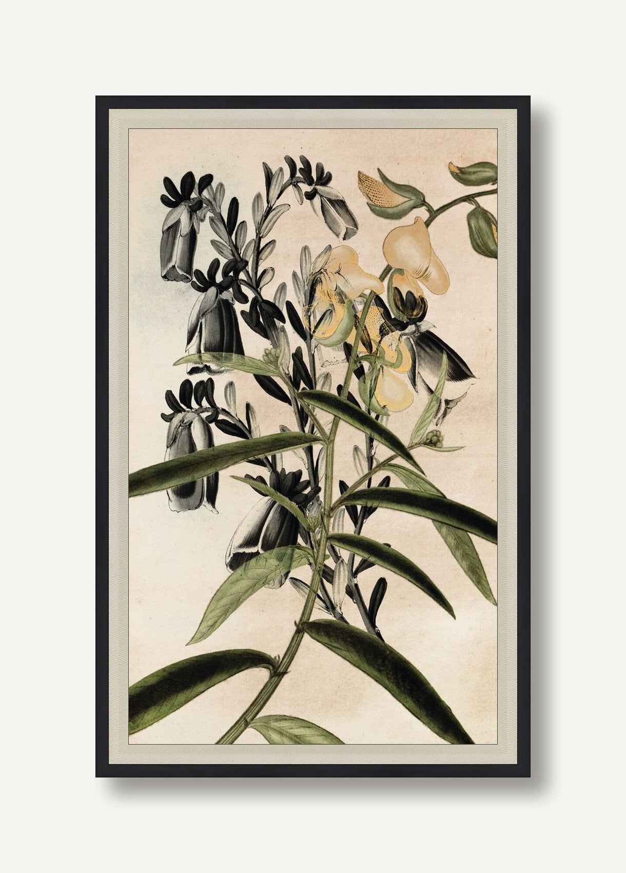 STNO-G001-04 framed