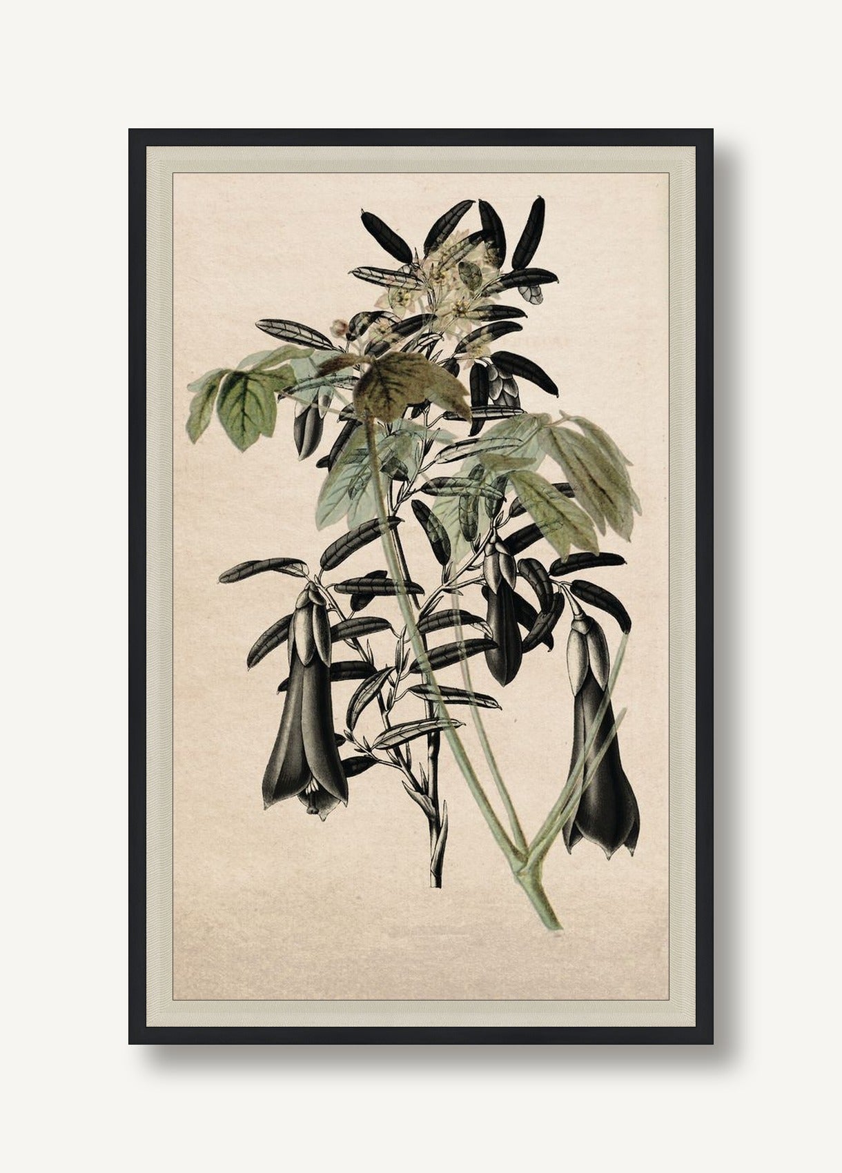 STNO-G001-06 framed