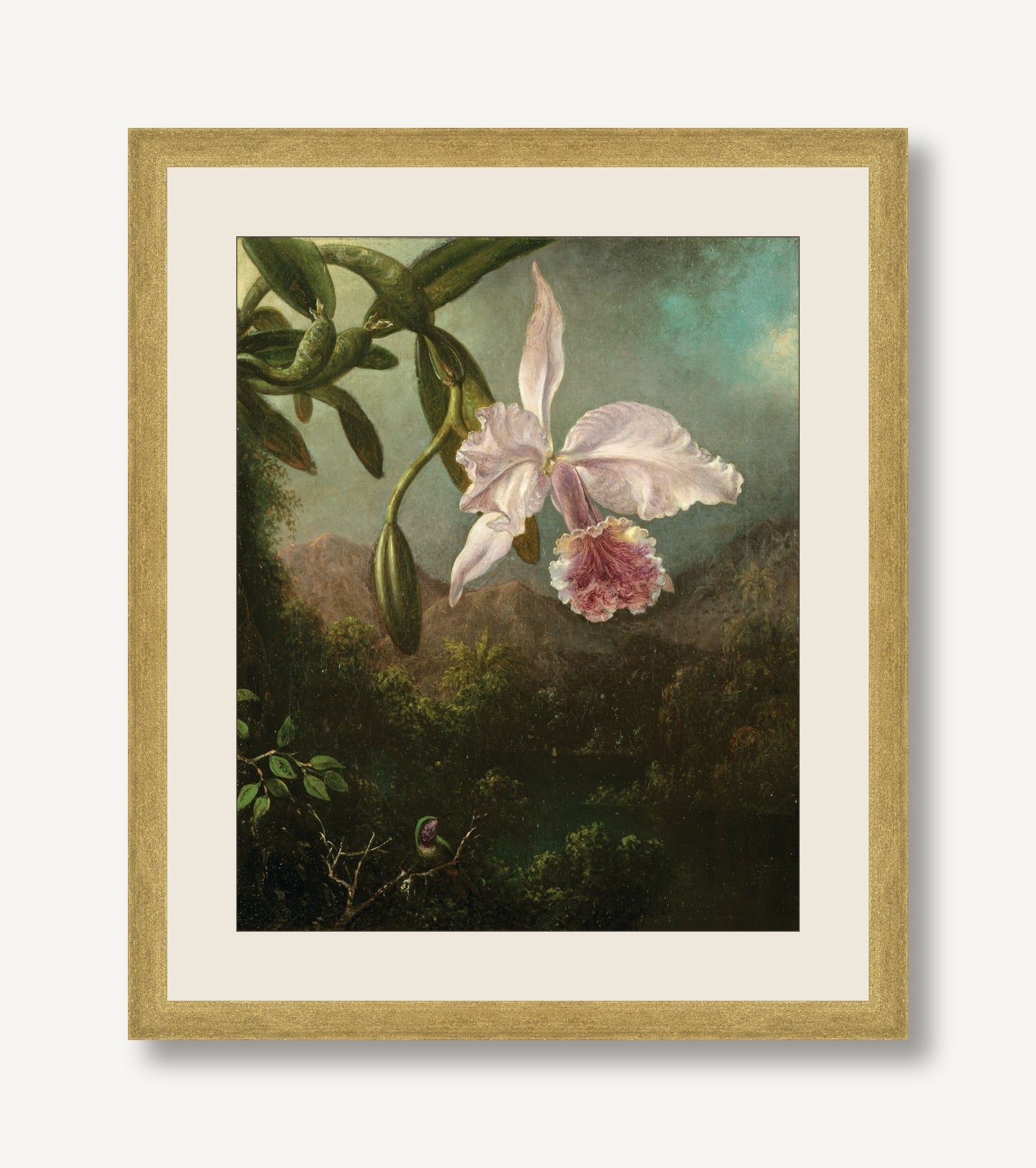 Orchid at Dusk 1 — framed