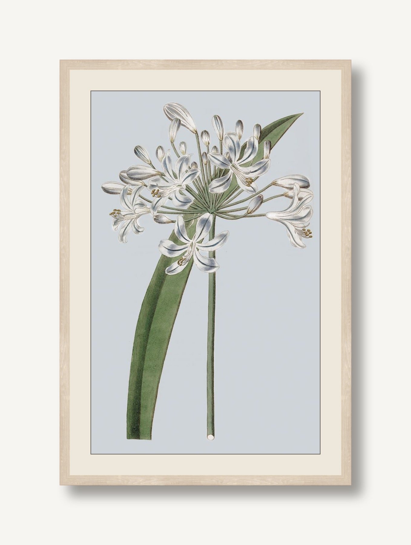 STNO-P002-01 framed