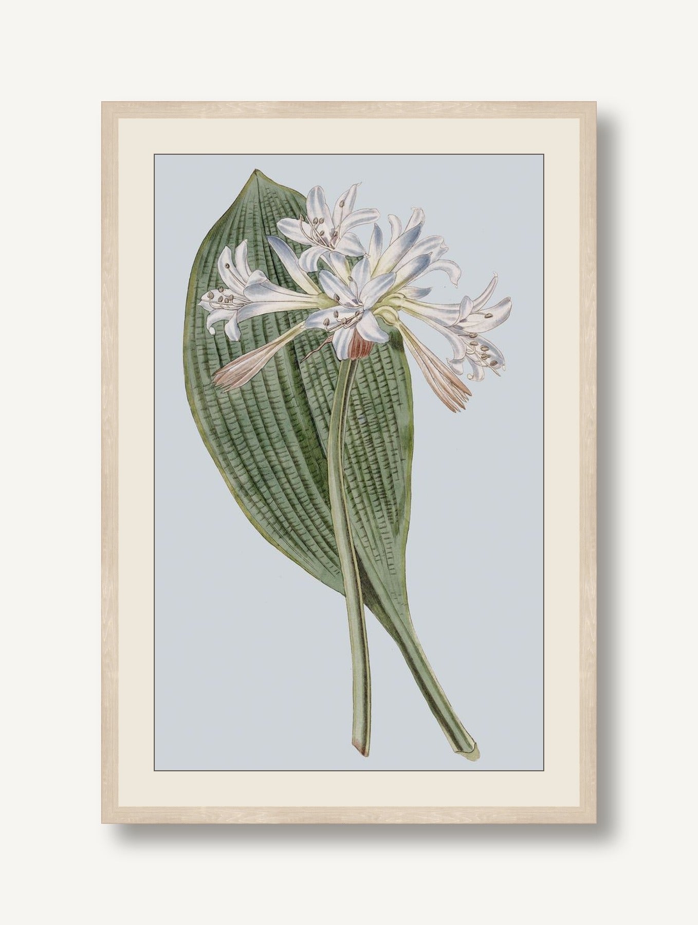 STNO-P002-03 framed