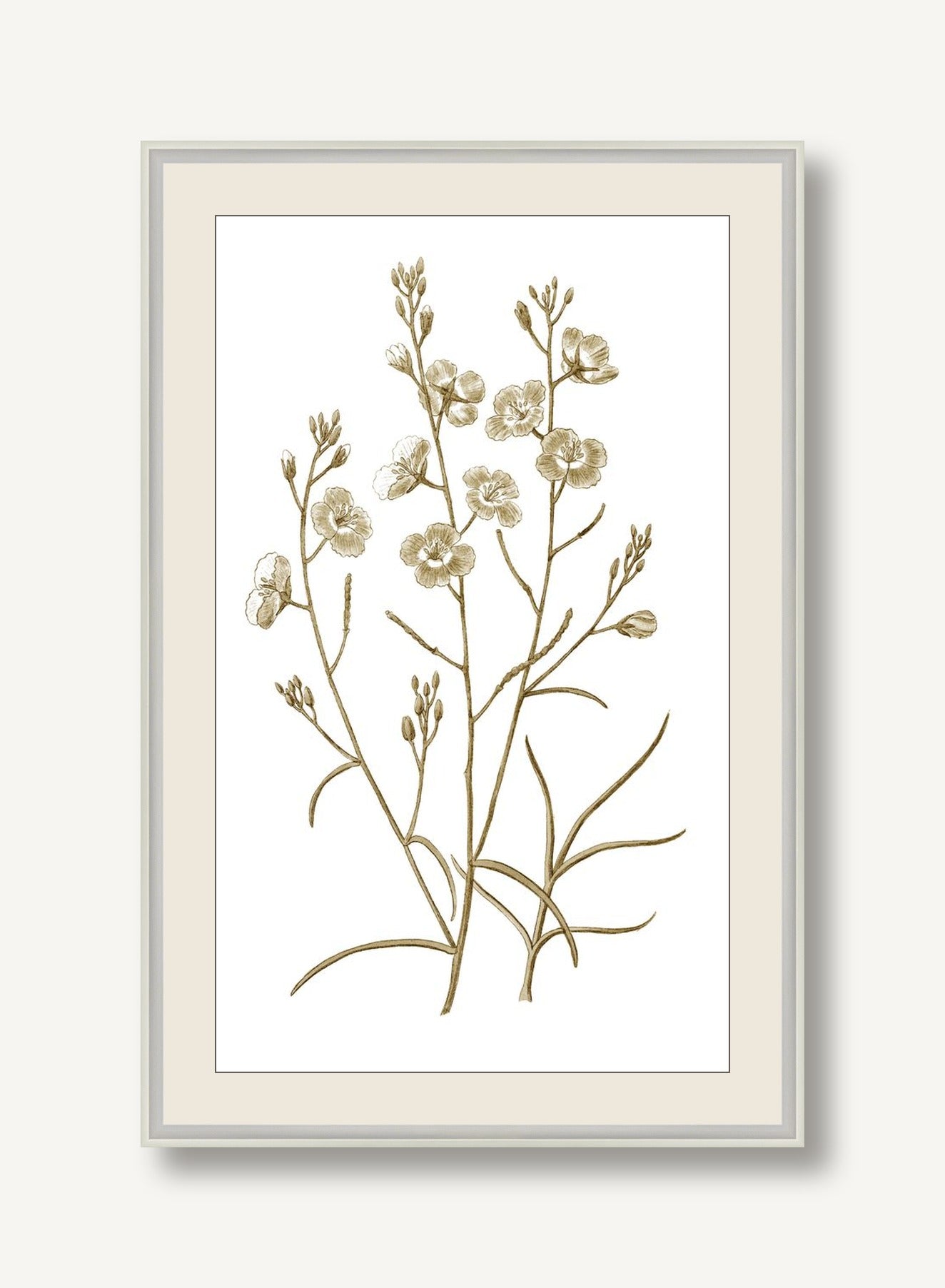 STNO-S001-01 framed