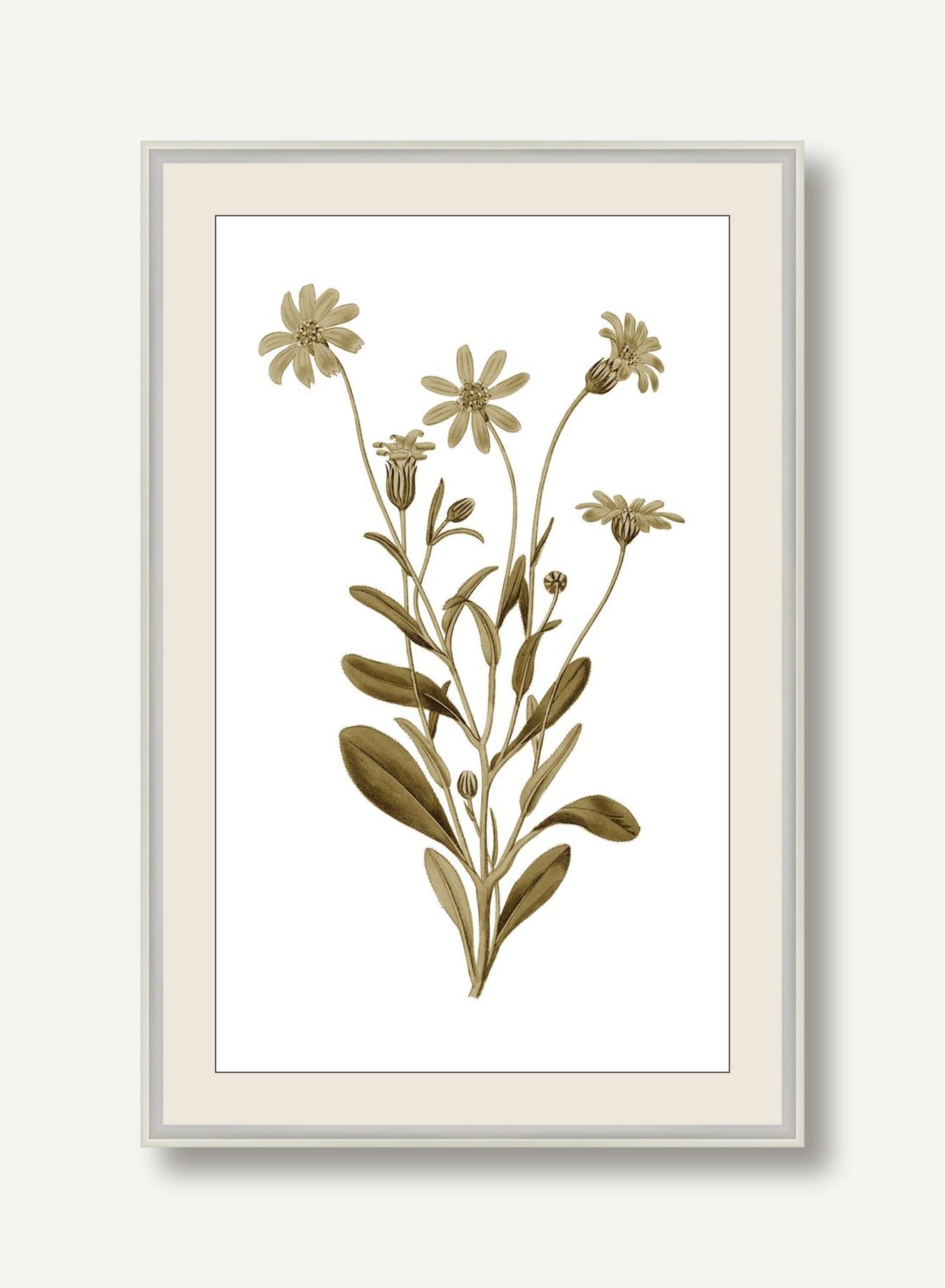 STNO-S001-05 framed