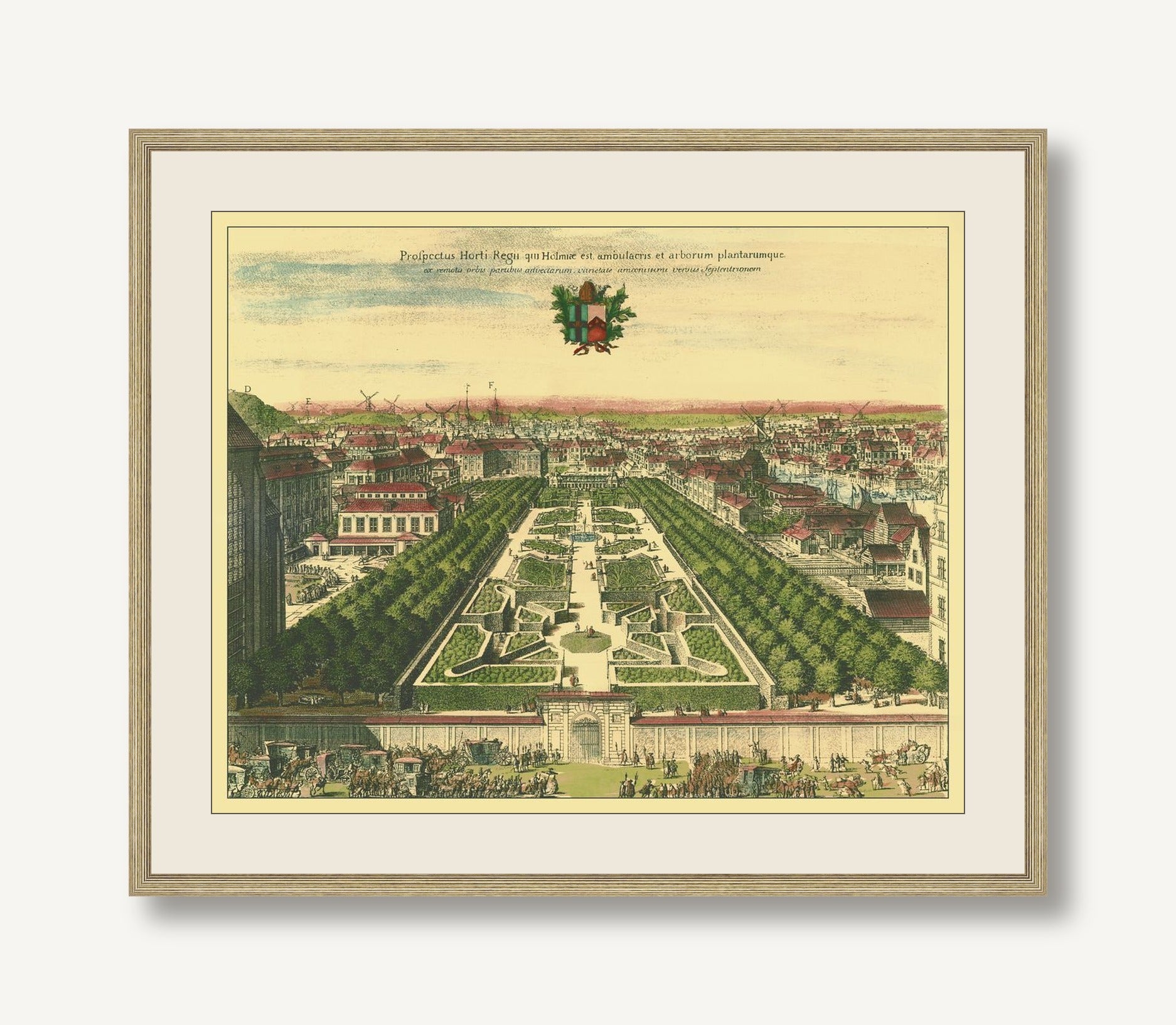 Verdant Visions 1 — framed