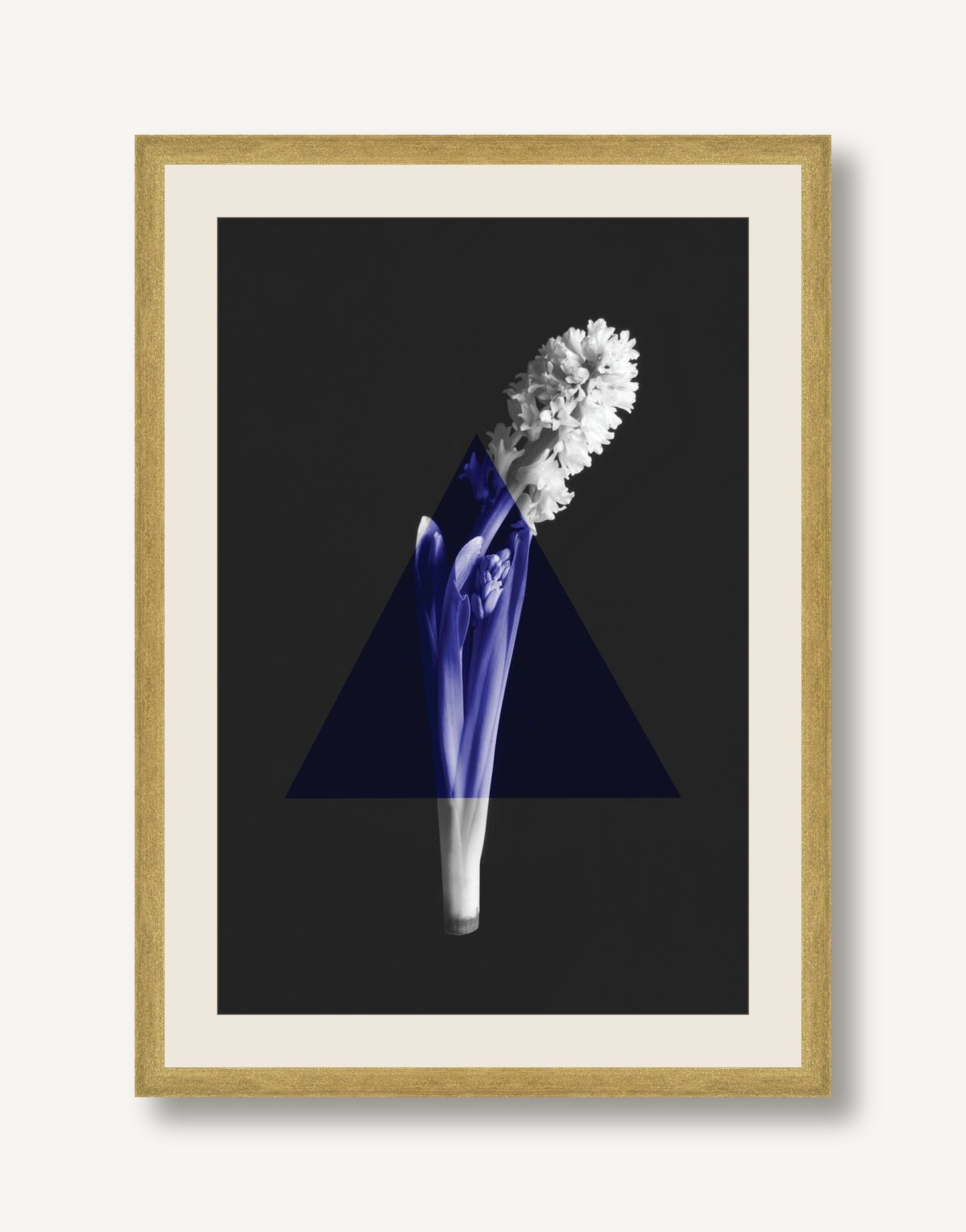 STSC-C008-03 framed