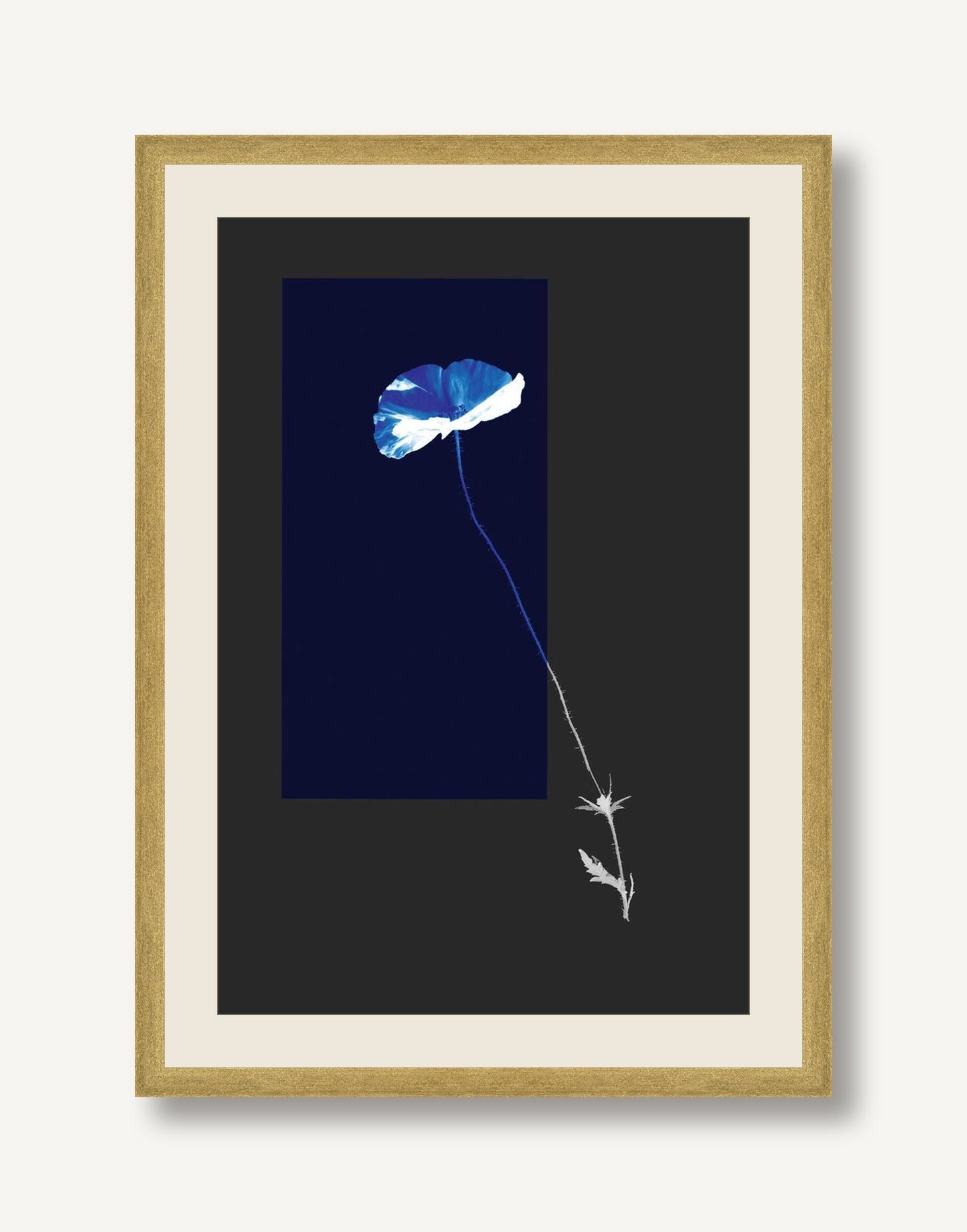 STSC-C008-05 framed
