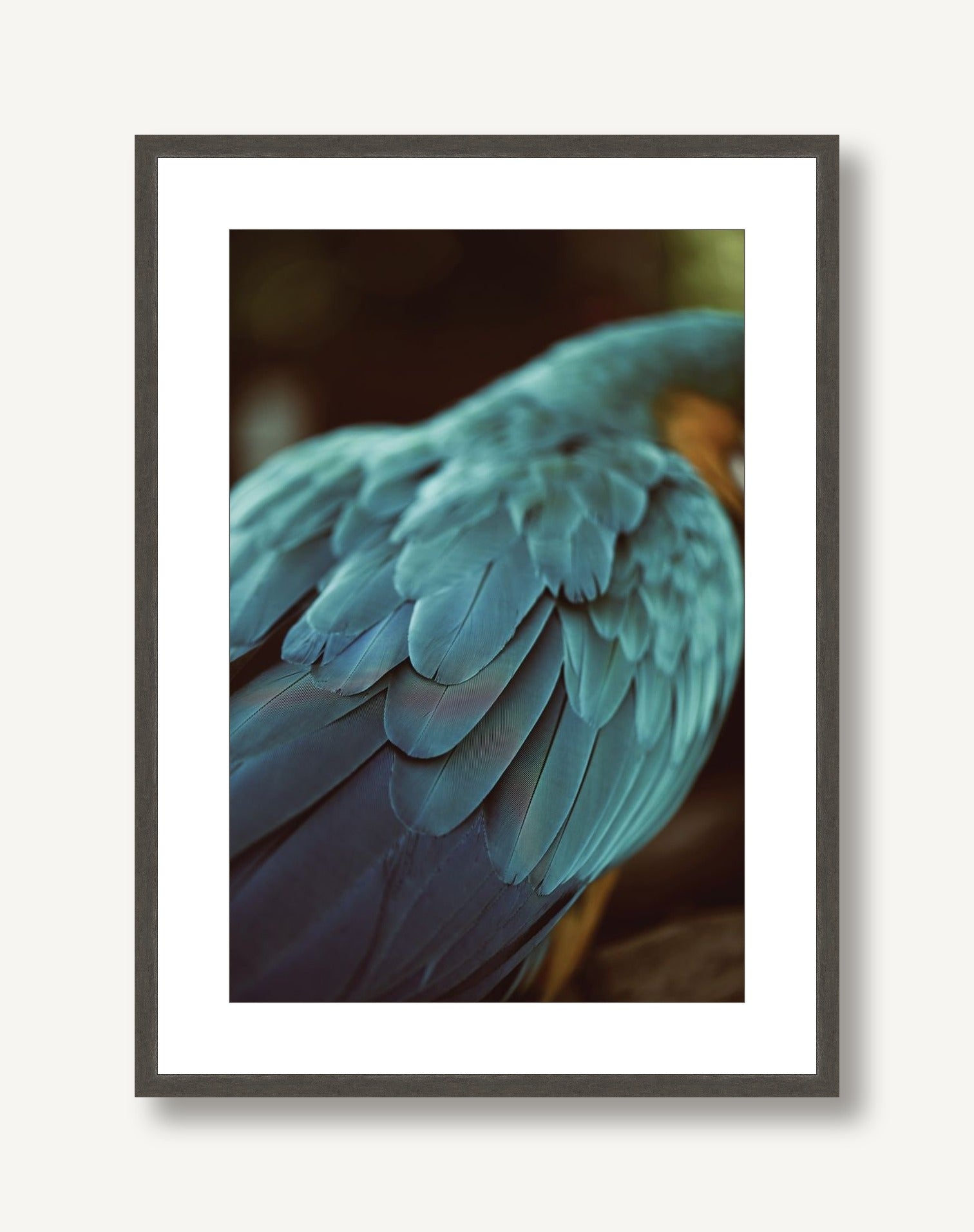 Blue Feathers 1 framed