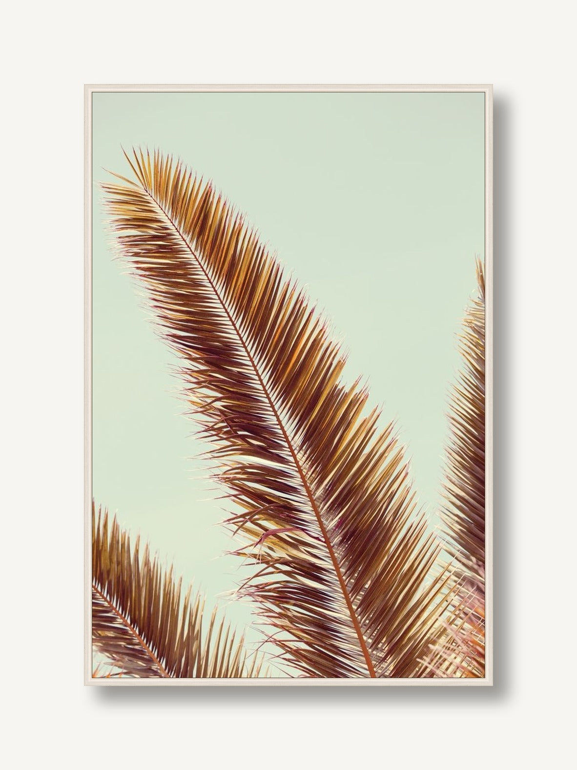 Sun-Drenched Palms 2 framed