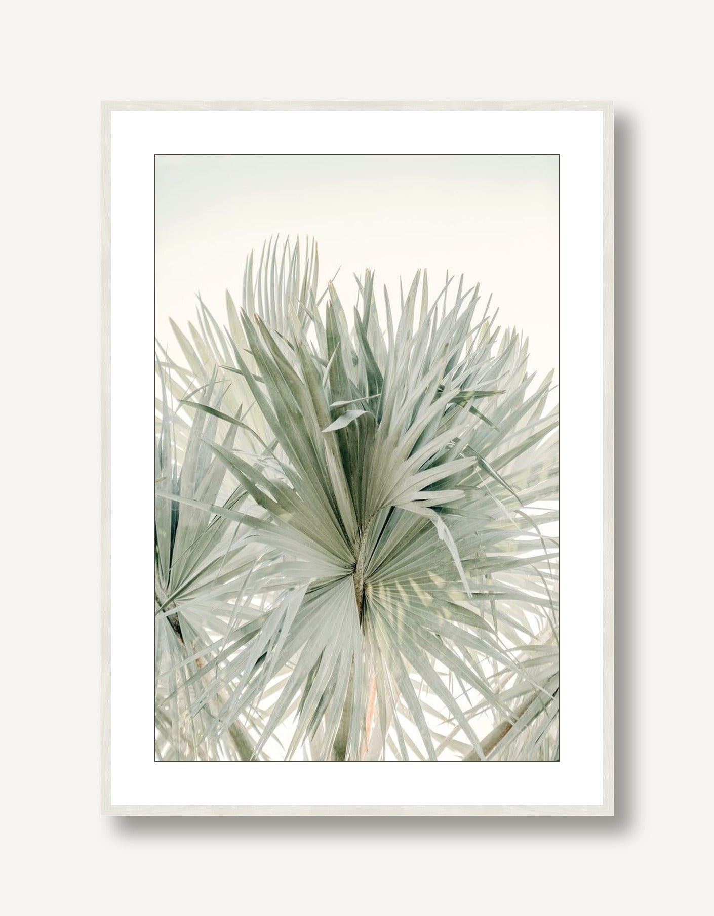 Sage Summer 1 framed