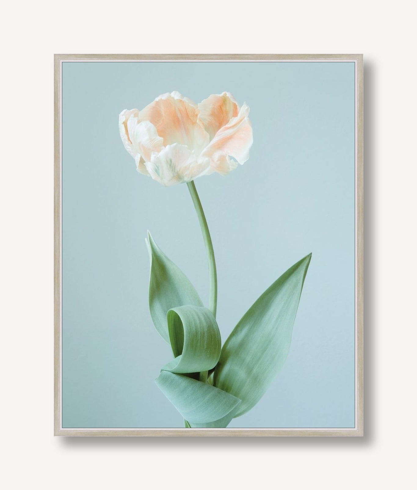 Emma Rose 3 framed