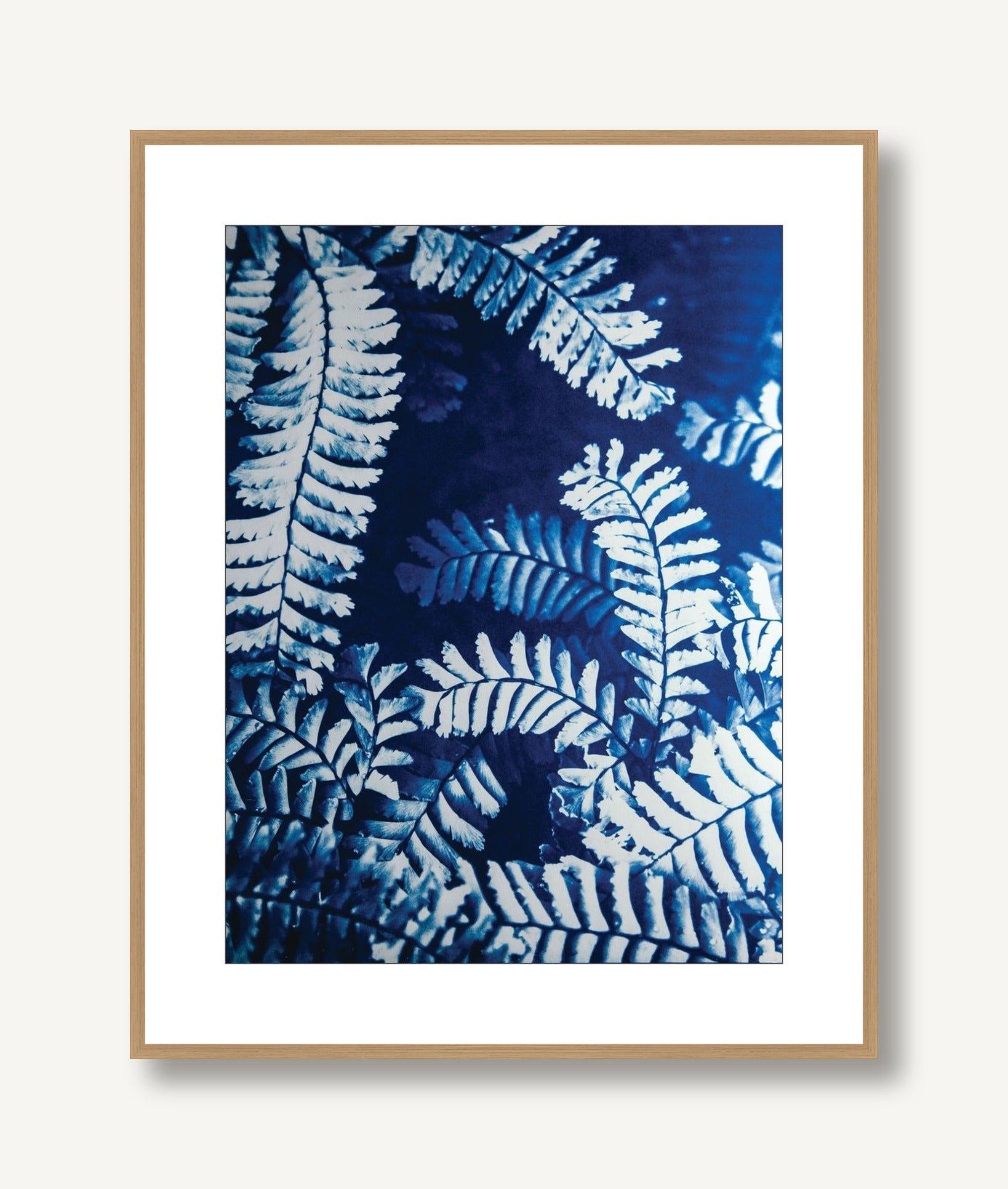 Ferns 1 framed