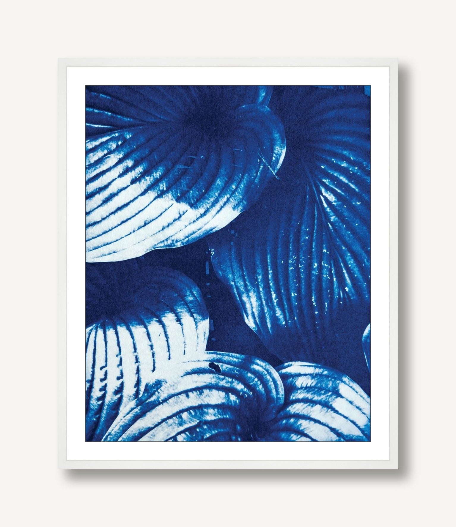 Hosta 1 framed