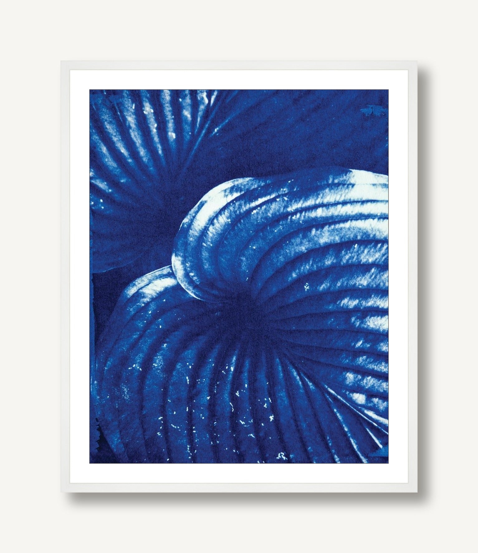Hosta 2 framed