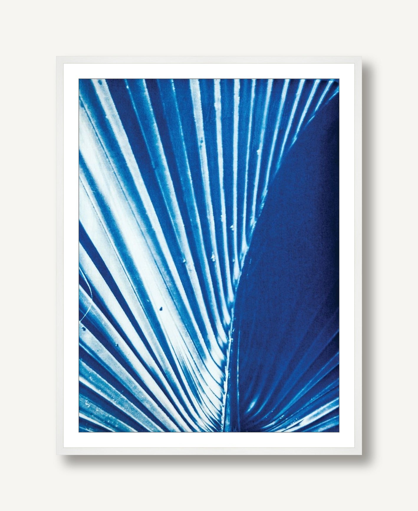 Palmetto 1 framed