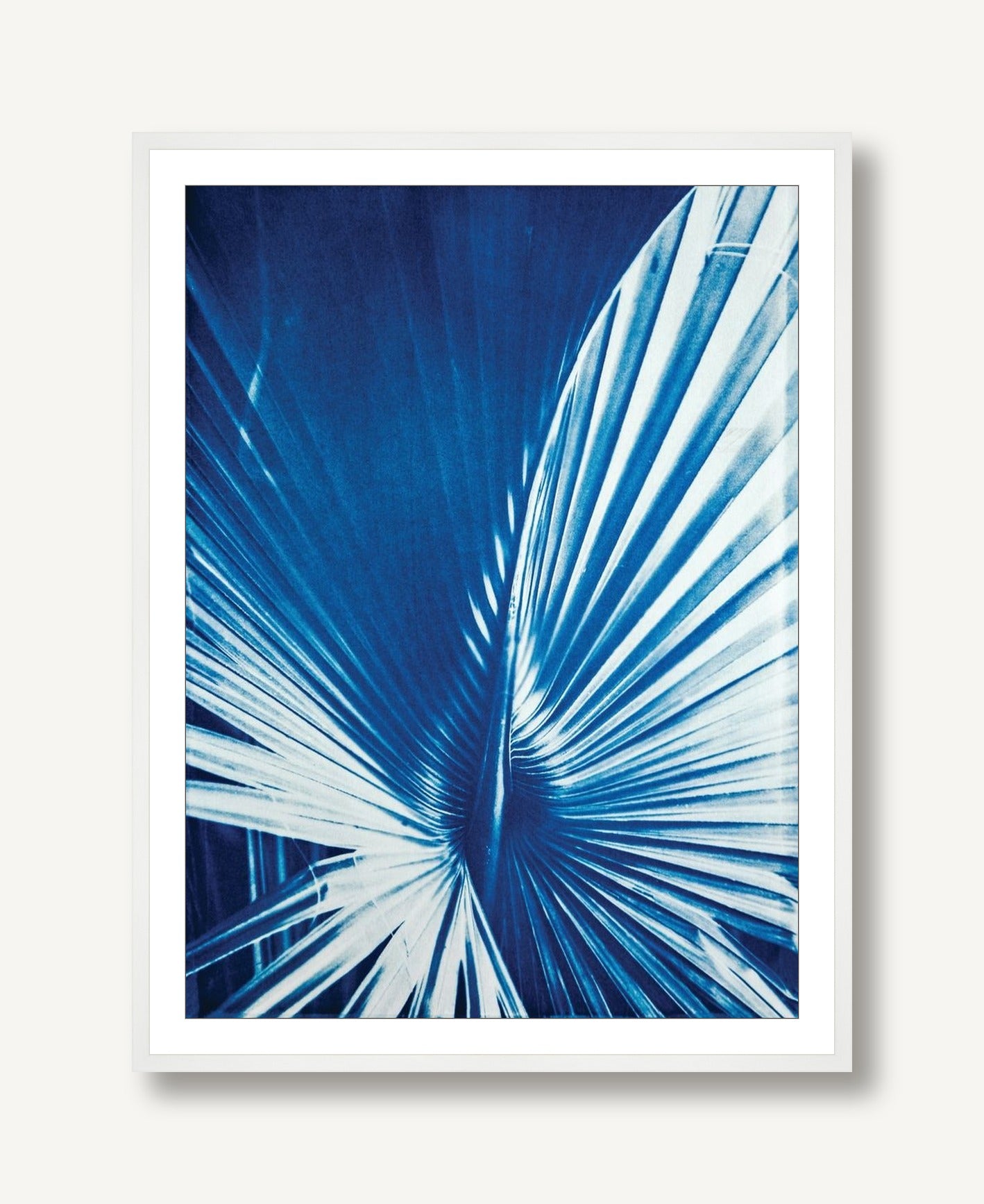 Palmetto 2 framed