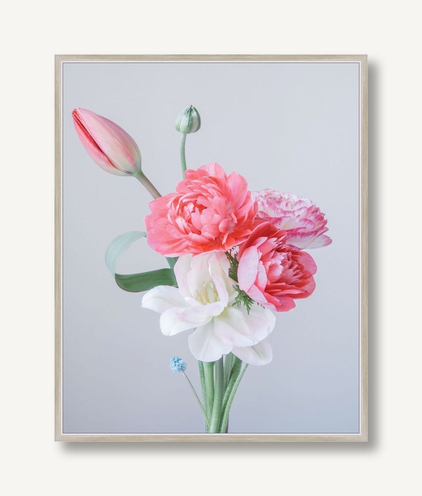 Rosaline 2 framed