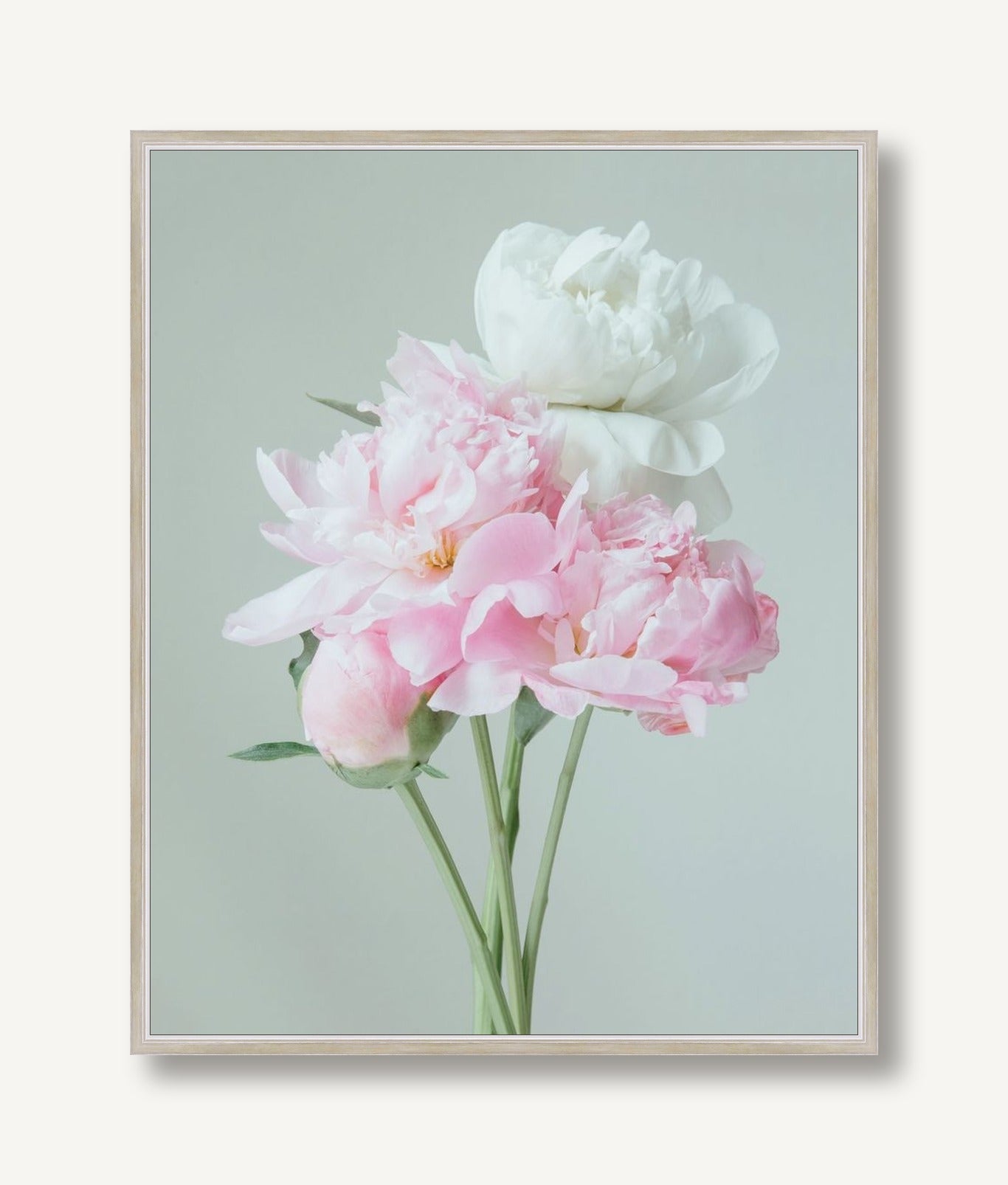 Rosaline 3 framed