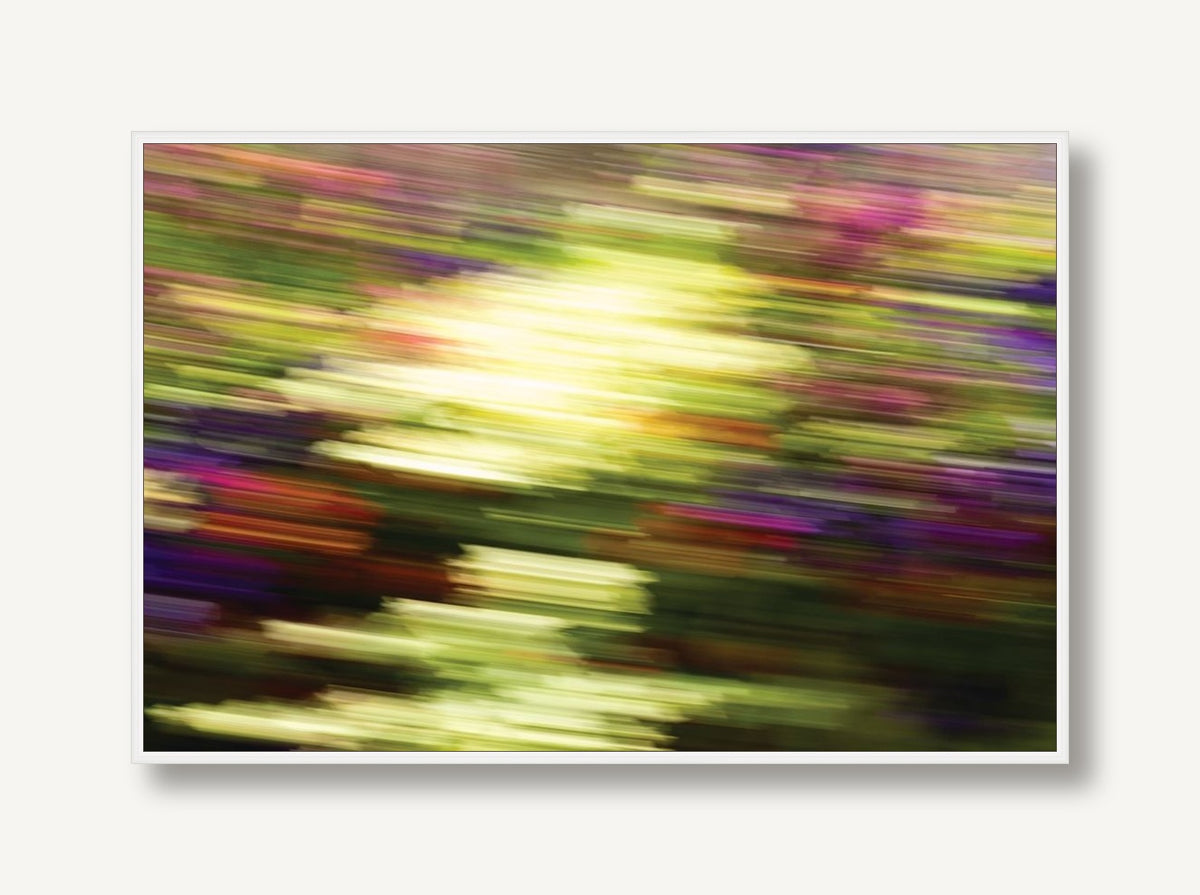 Intimation of Retrospection 1 framed