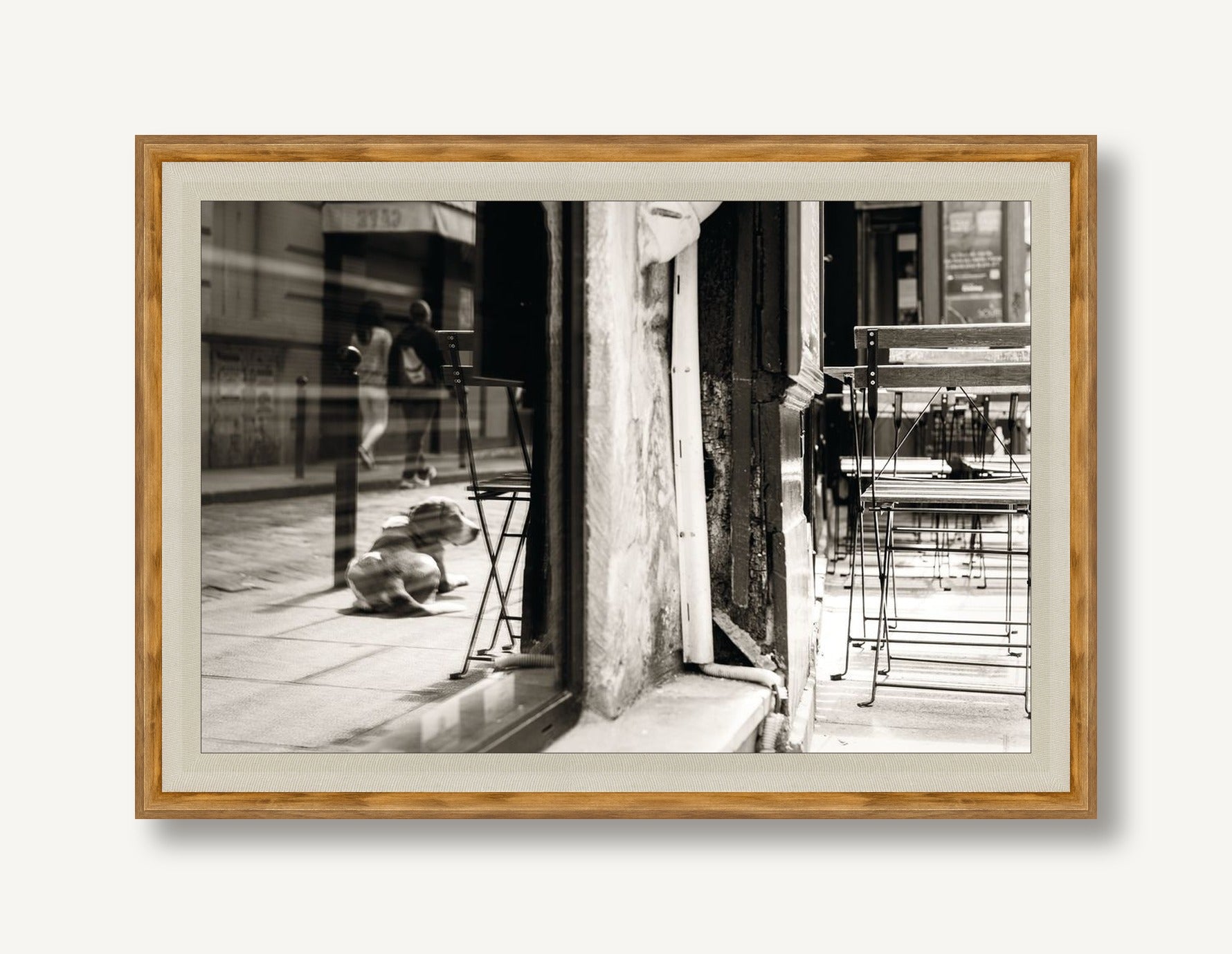 Reflected Companion 1 framed