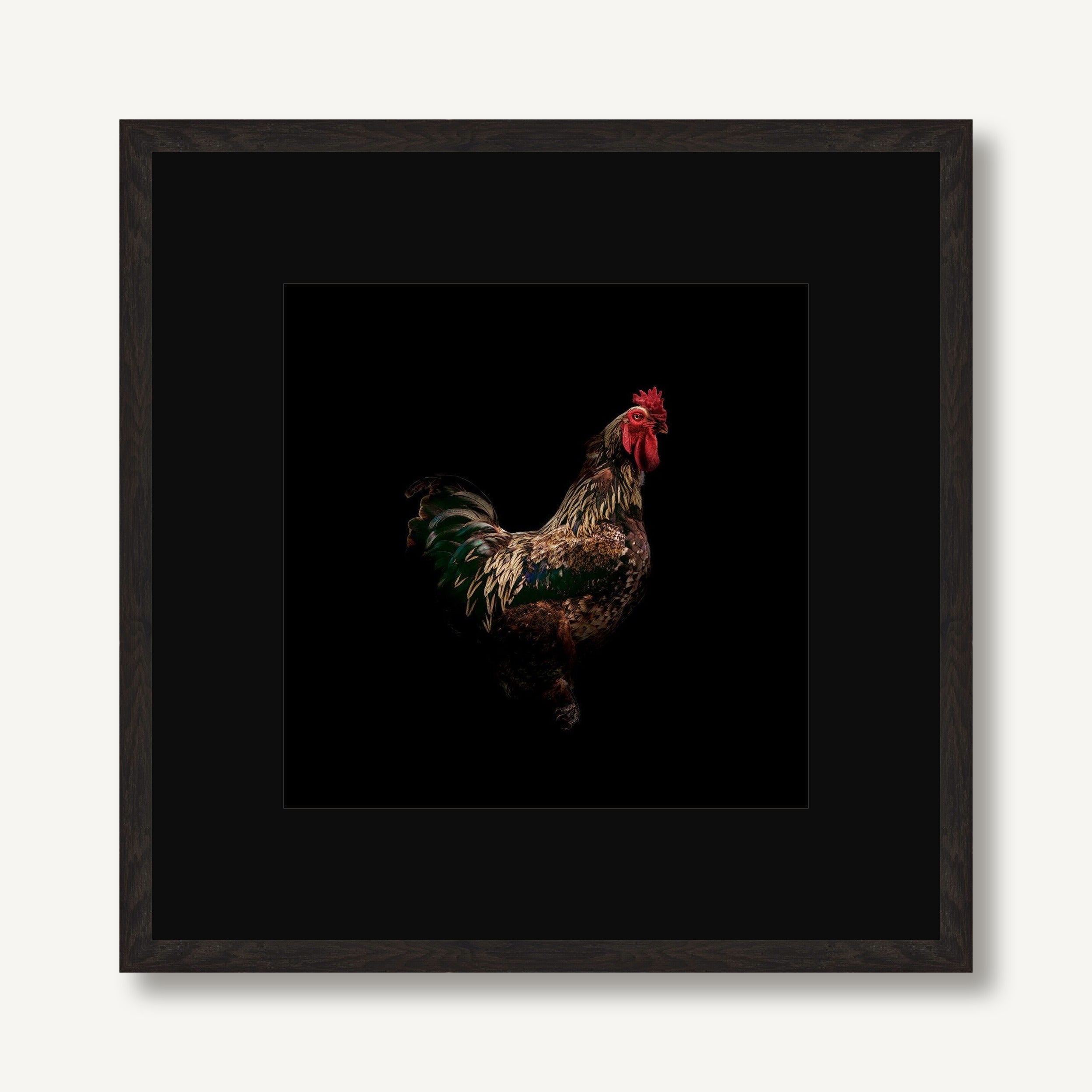 Strut 1 framed