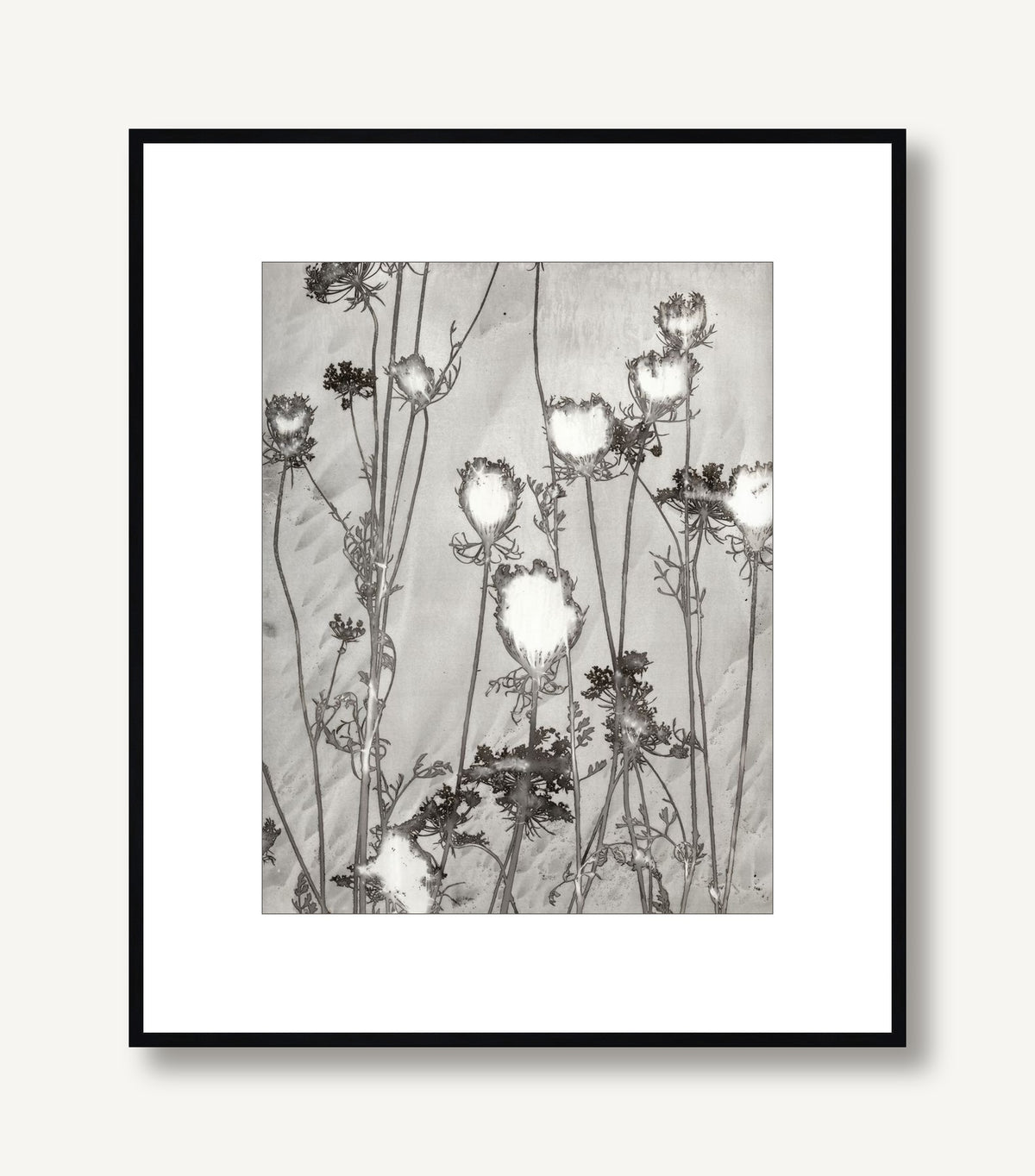 Lucent Botanicals 1 framed
