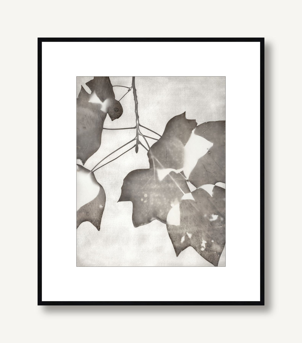 Lucent Botanicals 2 framed
