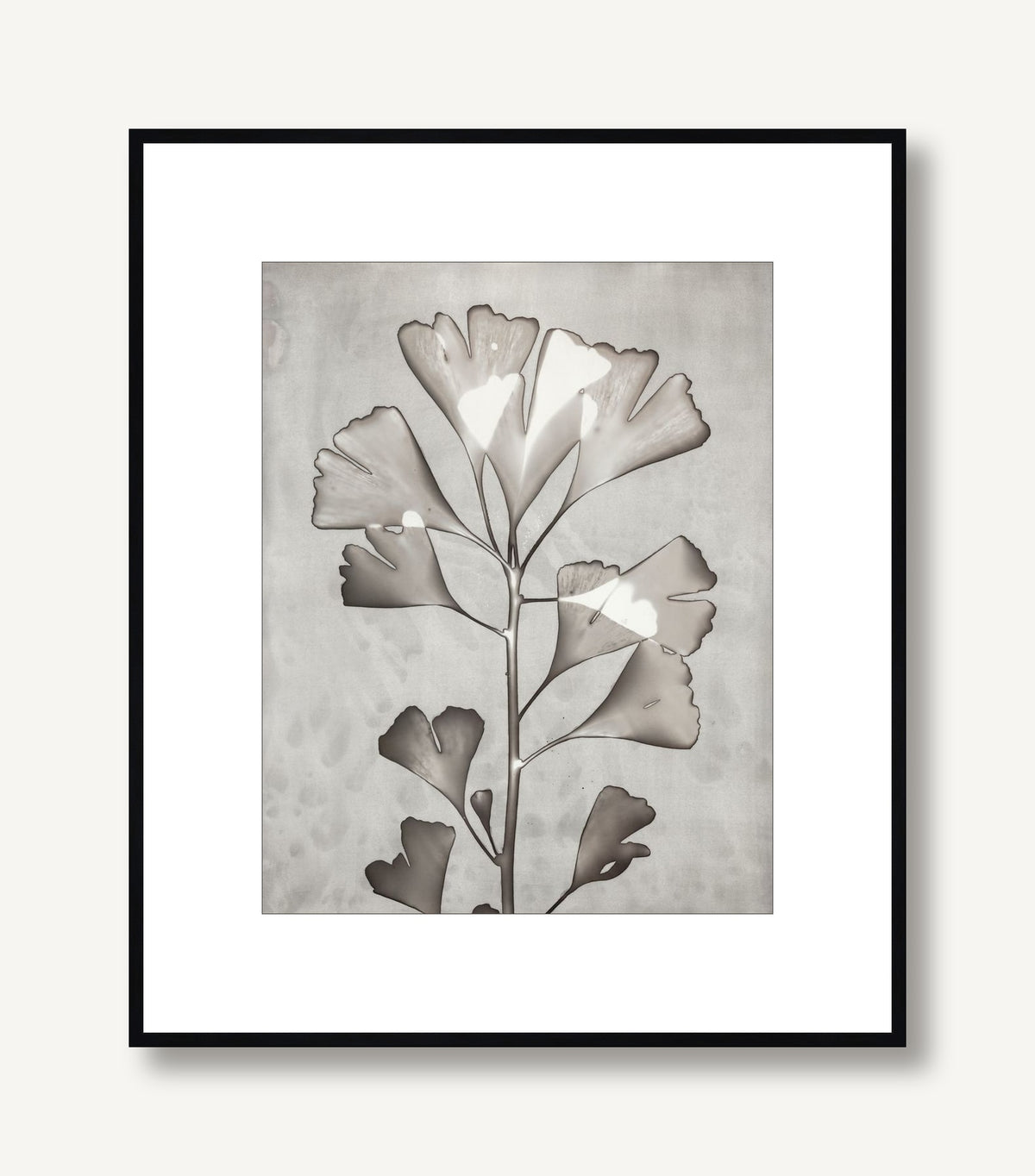 Lucent Botanicals 5 framed