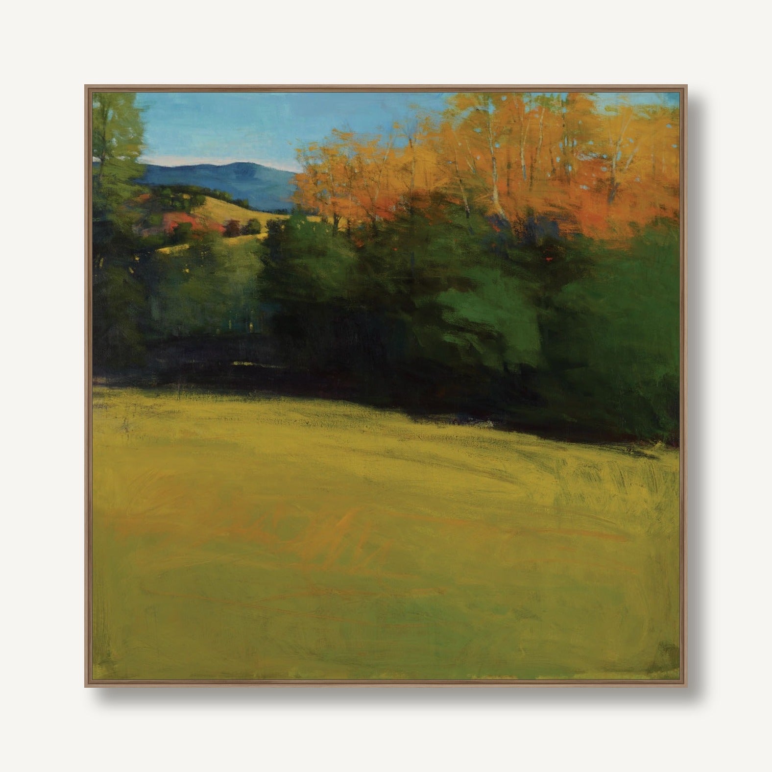 Mountain Vista 1 framed