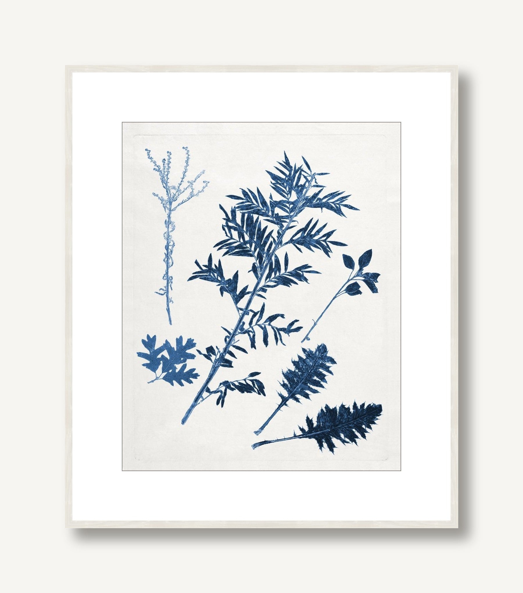 Blue Botanical Study 3 framed
