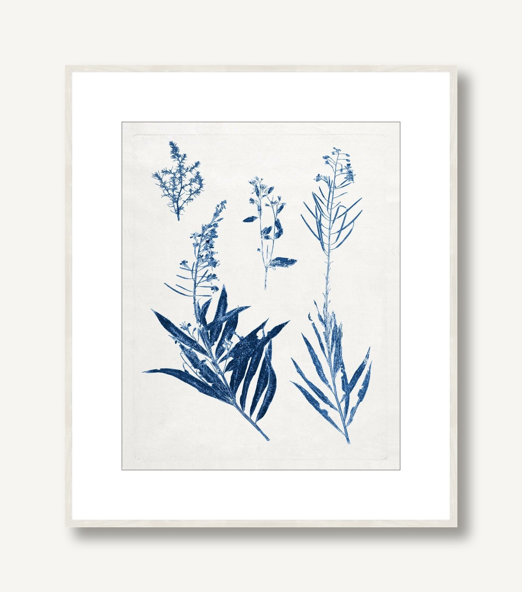 Blue Botanical Study 8 framed