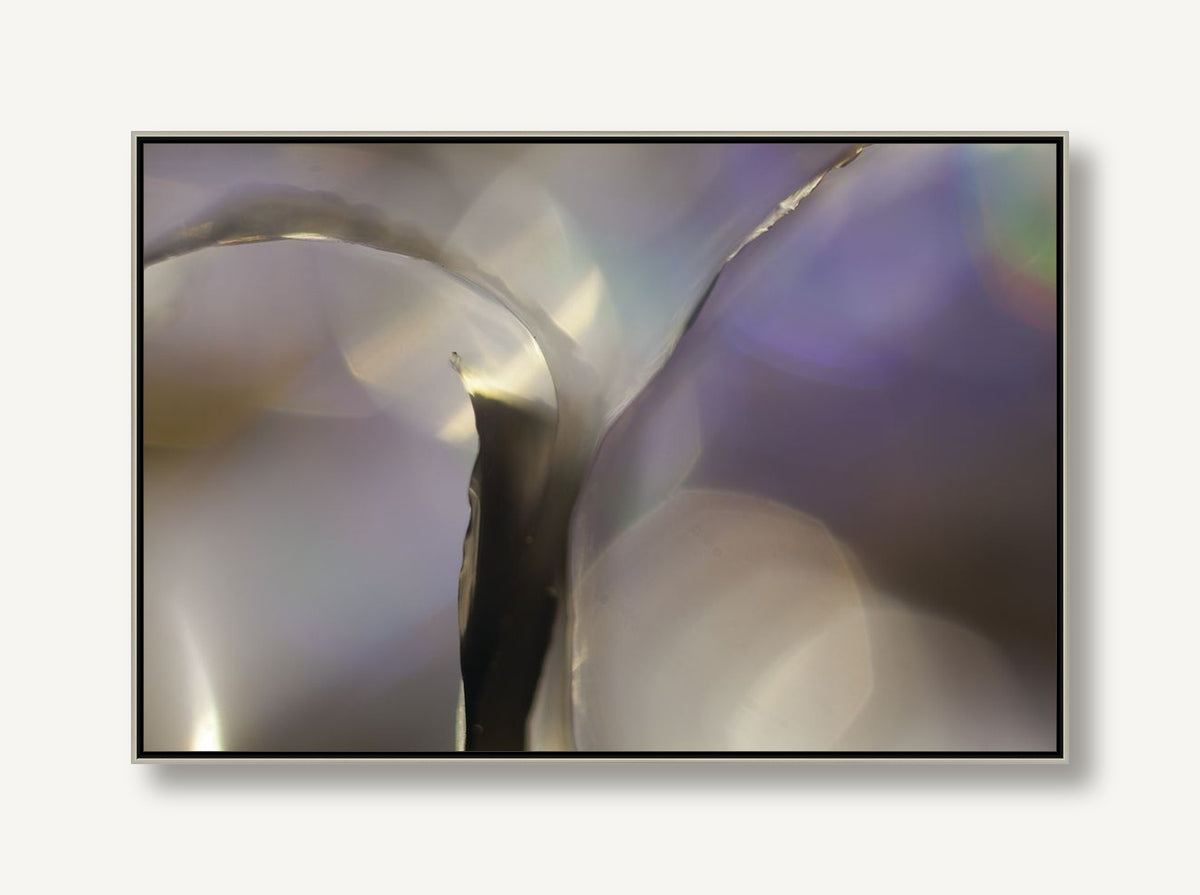 Insubstantial Opposition 1 framed
