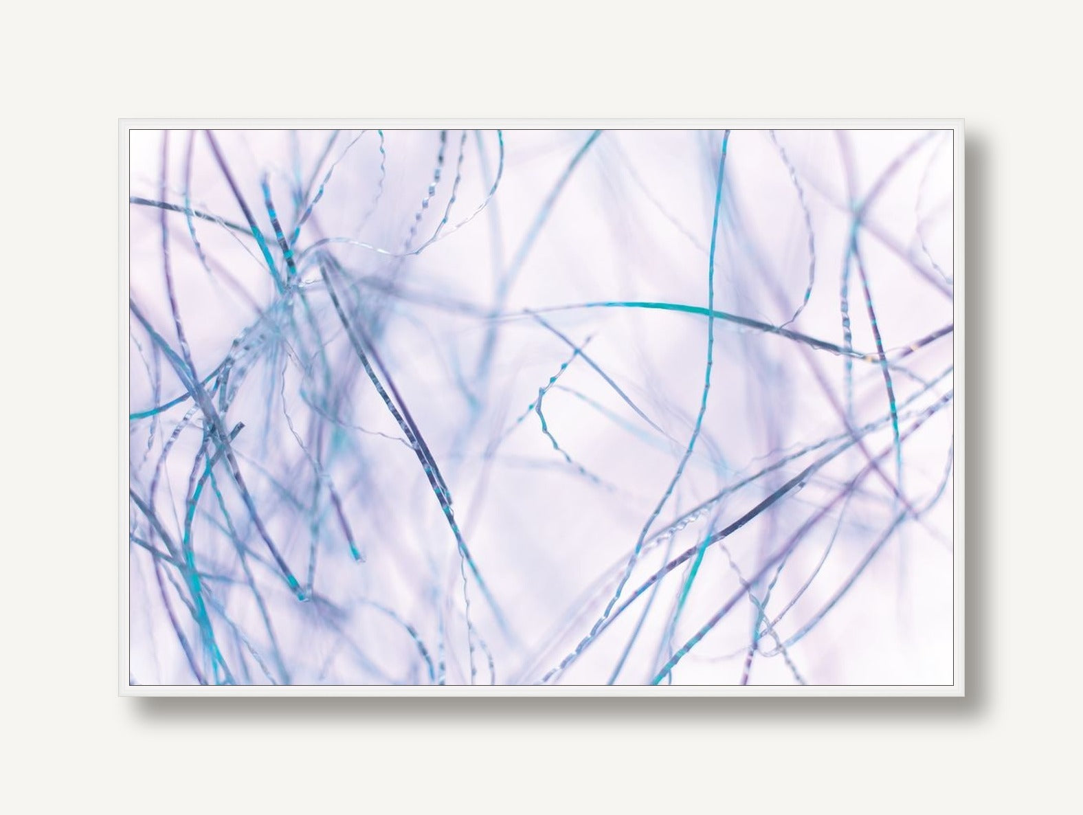 Violet Fibers 1 framed