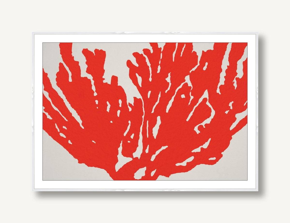 Coral 1 framed