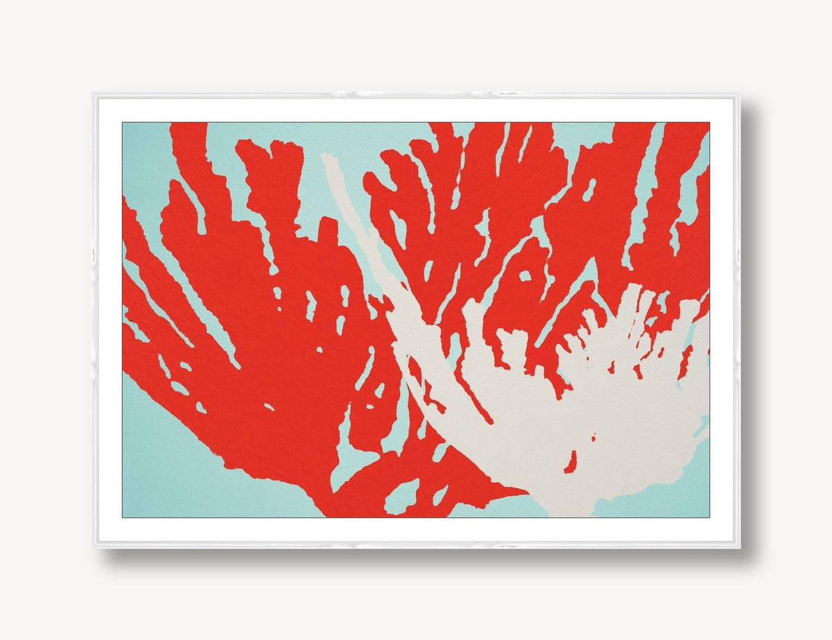Coral 2 framed
