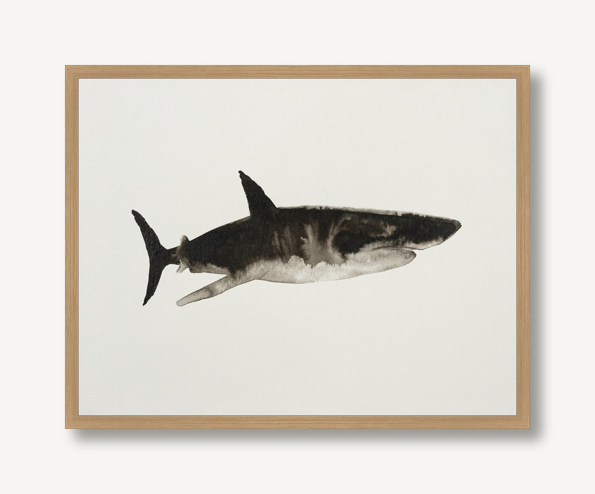 Ocean Creatures 6 framed