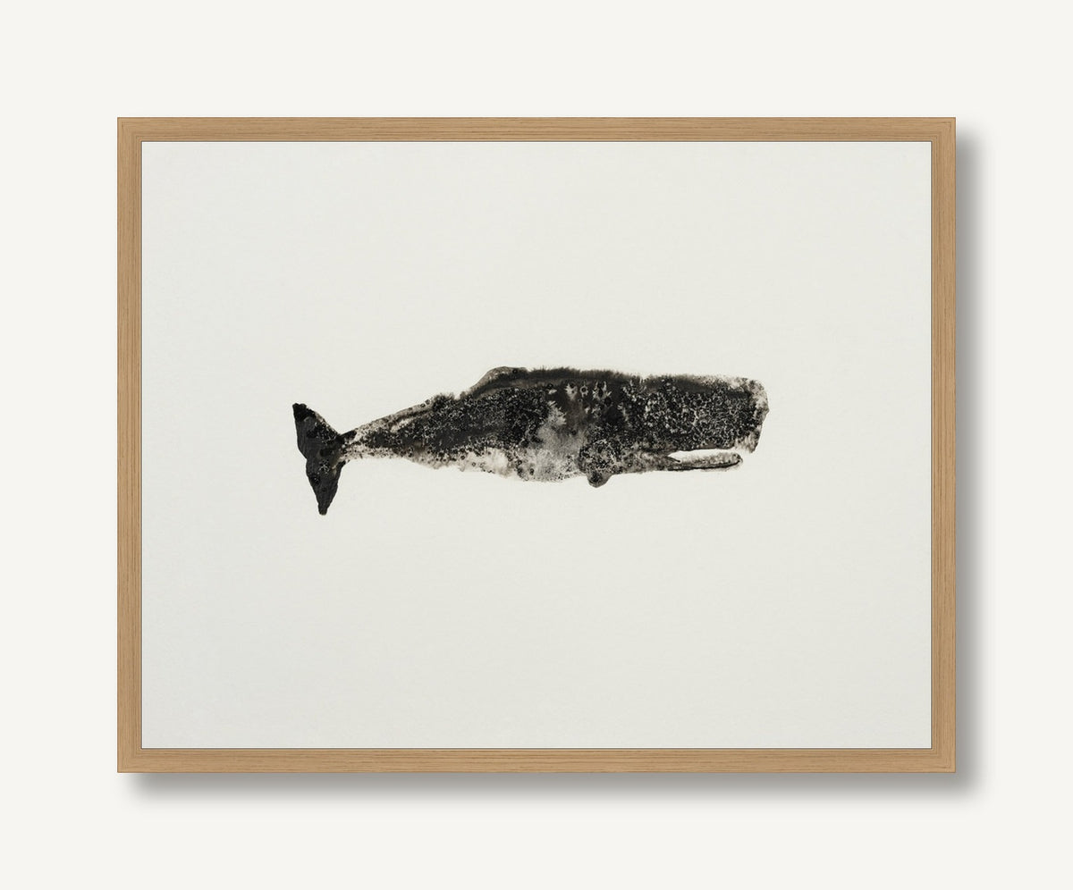 Ocean Creatures 7 framed